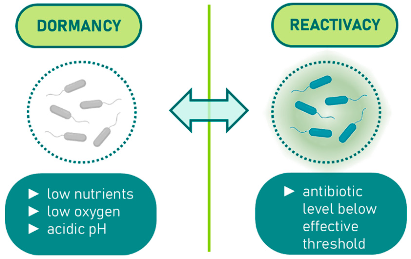 Molecules 30 04102 g001 Molecules 30 04102 g001