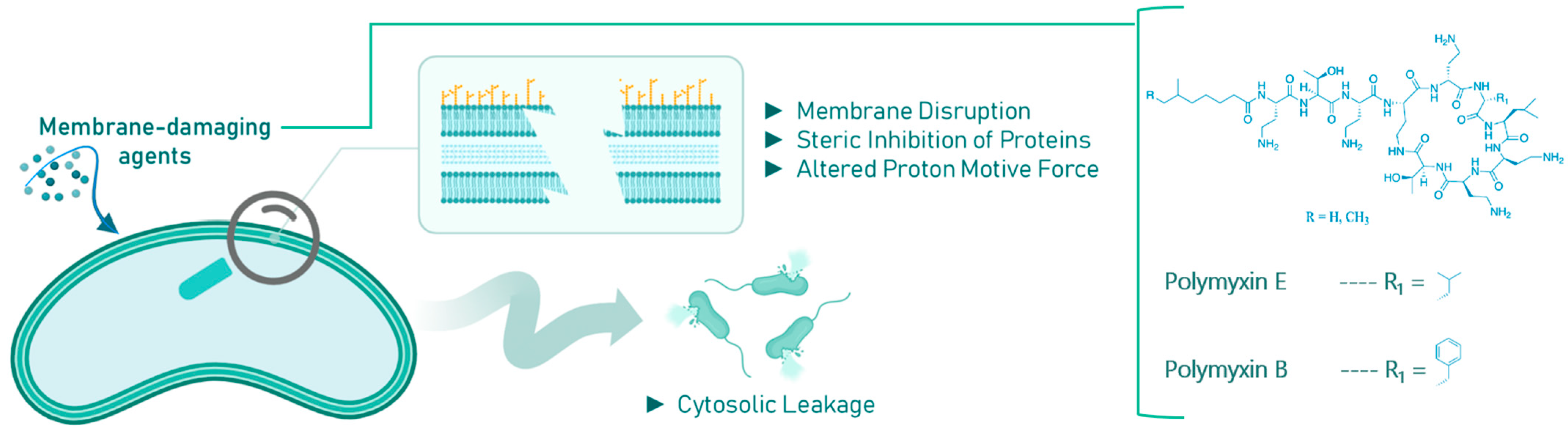 Molecules 30 04102 g003 Molecules 30 04102 g003