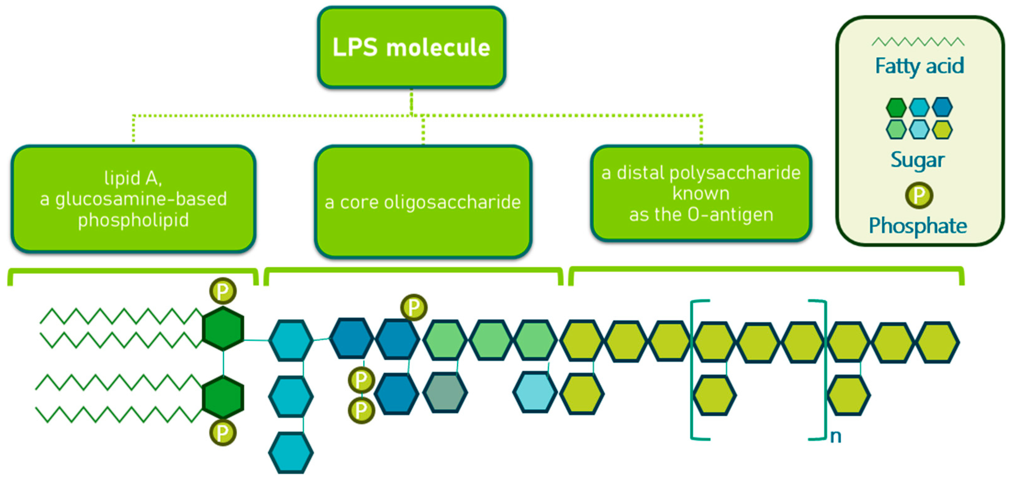 Molecules 30 04102 g004 Molecules 30 04102 g004