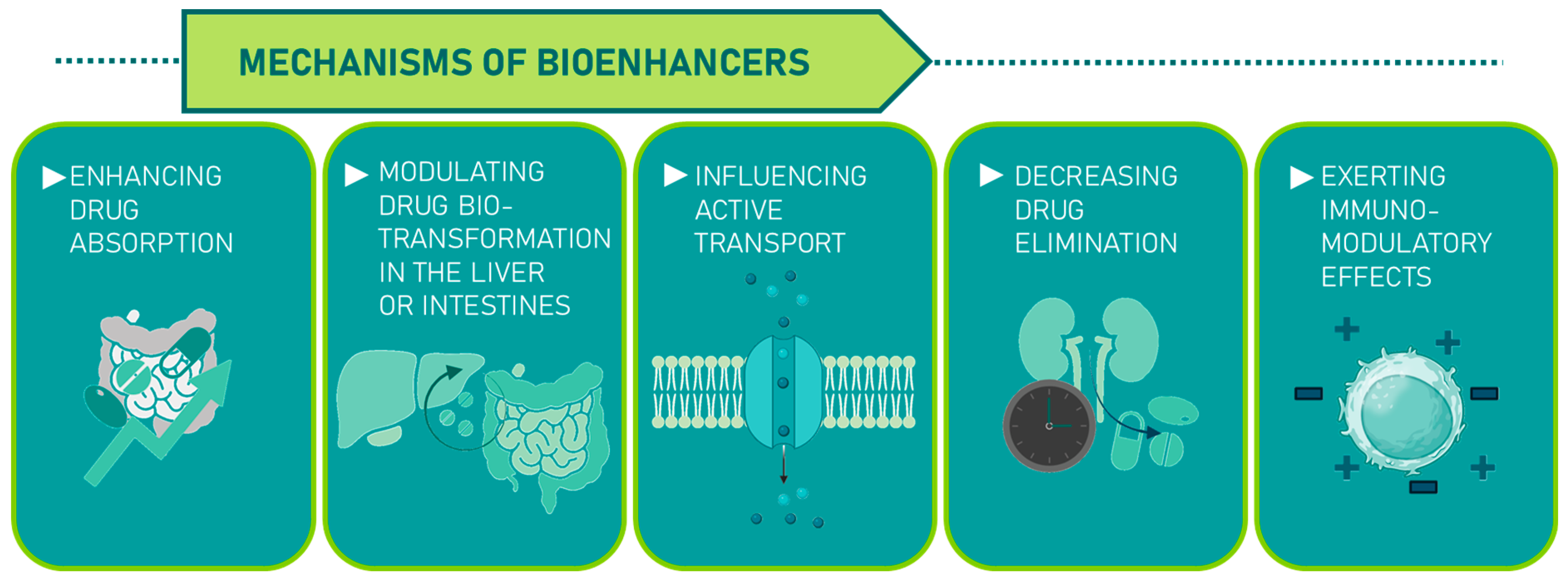 Molecules 30 04102 g005 Molecules 30 04102 g005