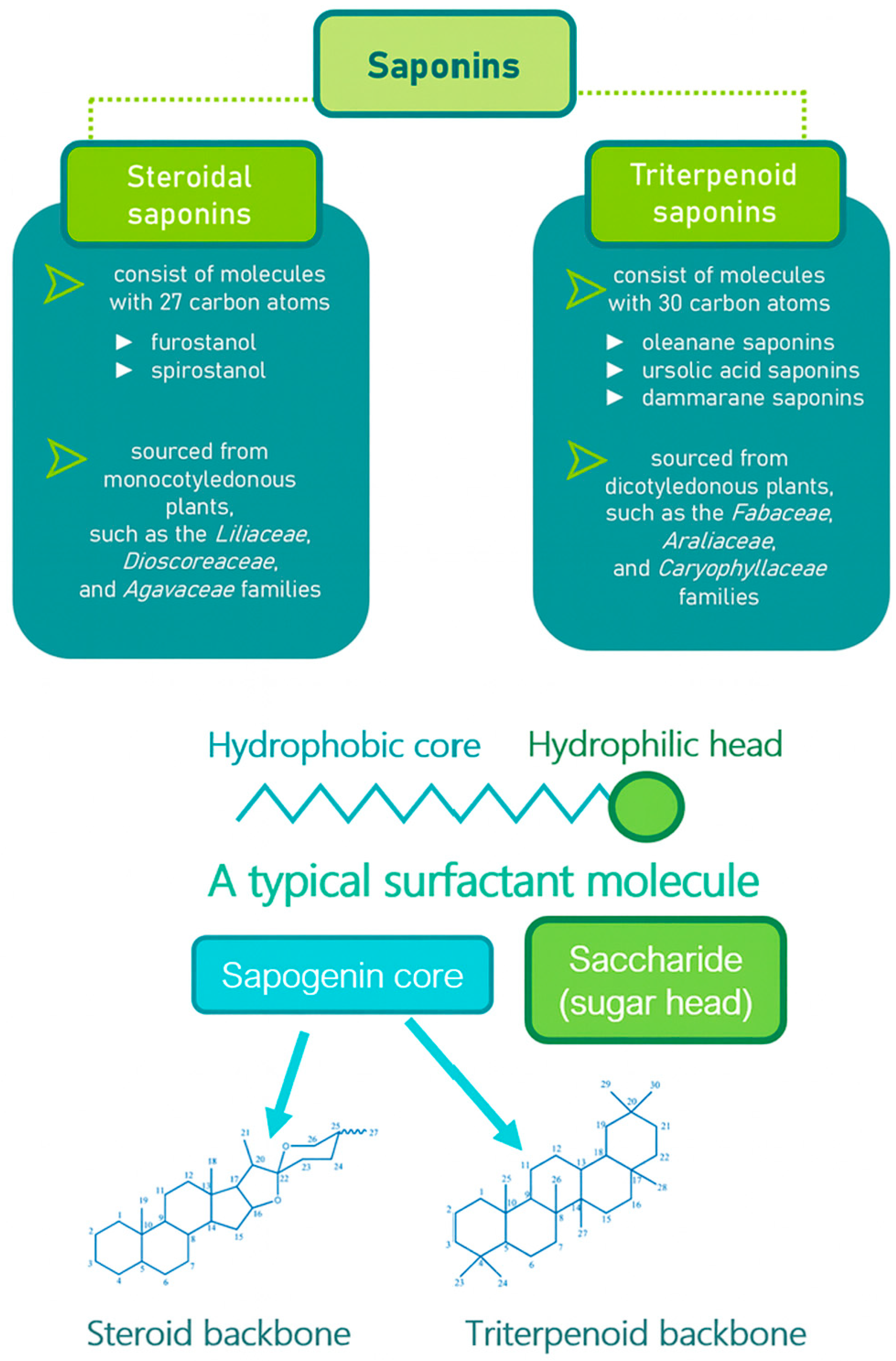Molecules 30 04102 g006 Molecules 30 04102 g006