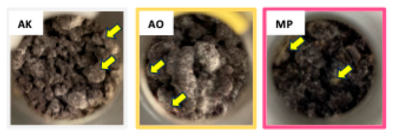 Molecules 30 04104 g001