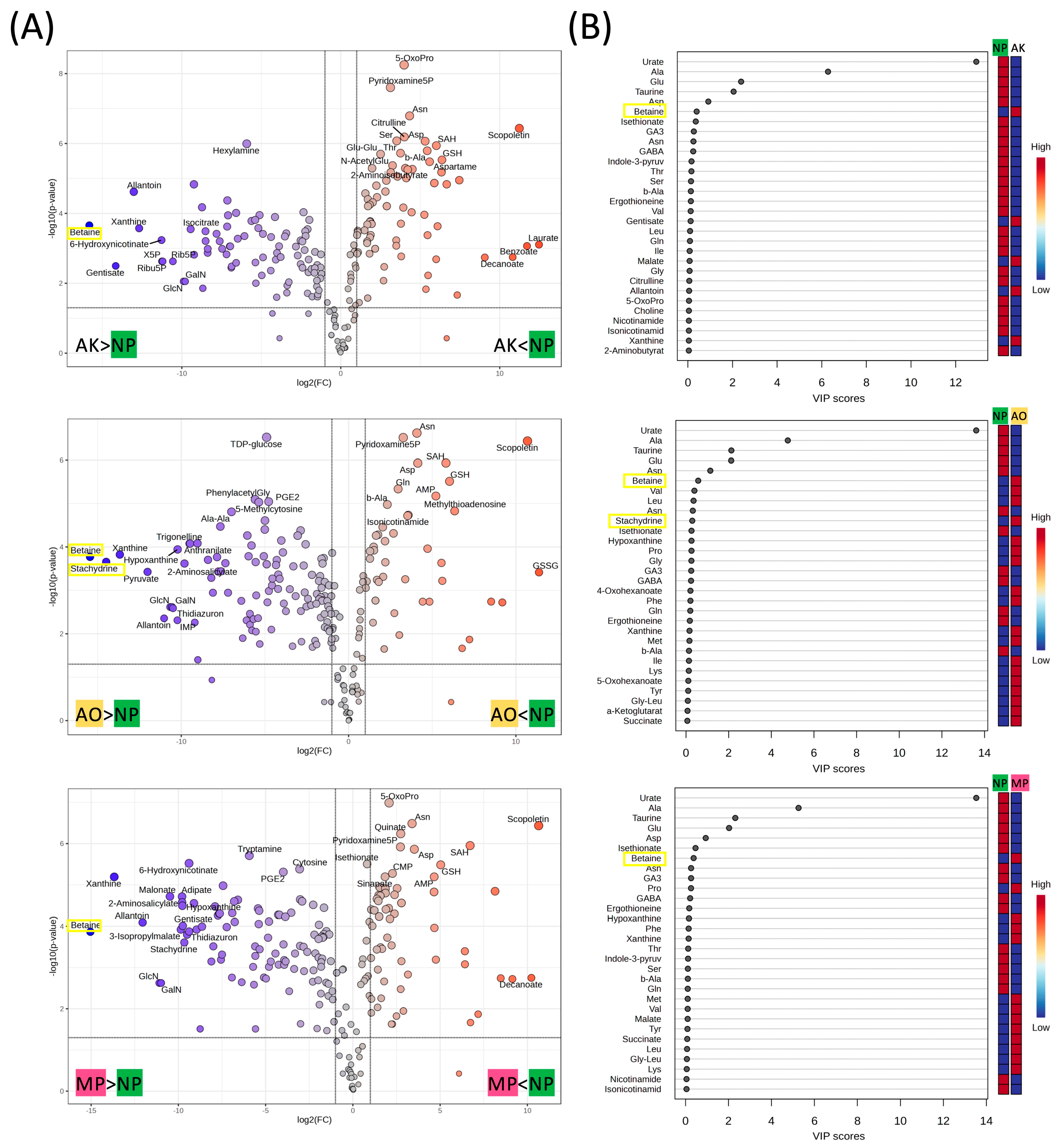 Molecules 30 04104 g003