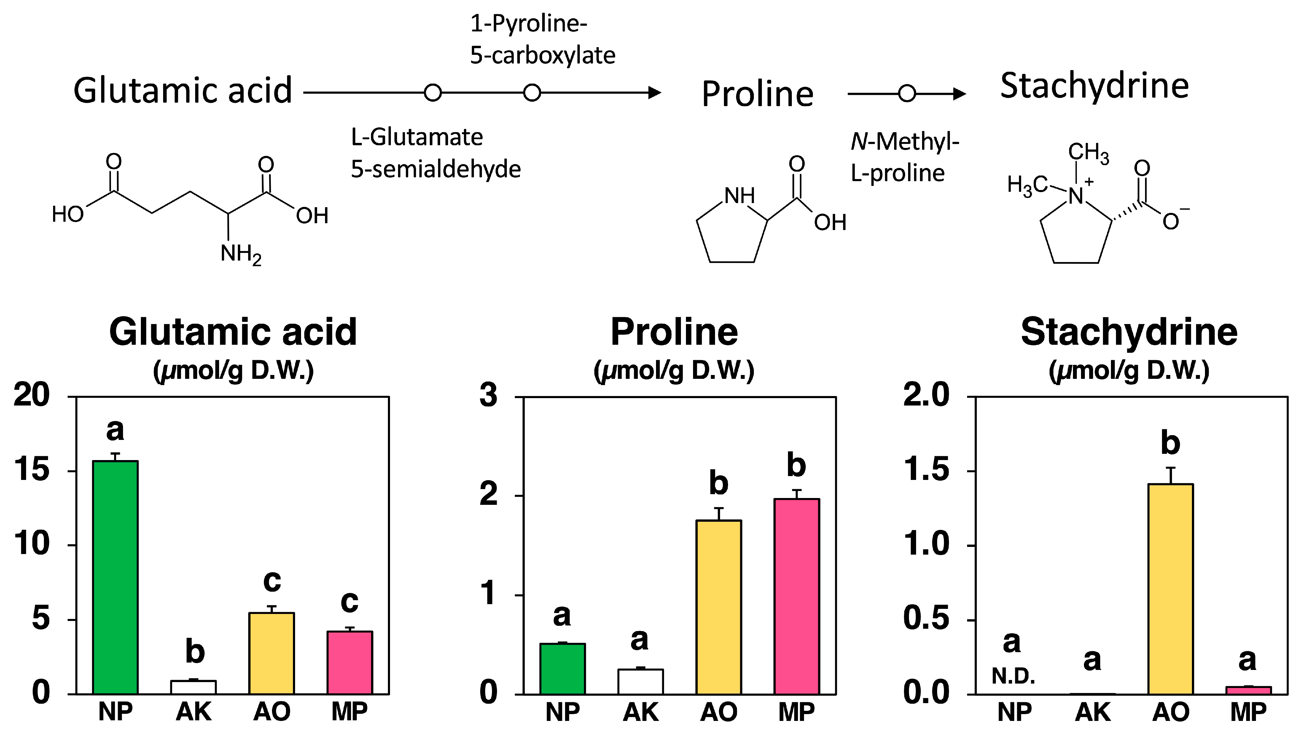 Molecules 30 04104 g005