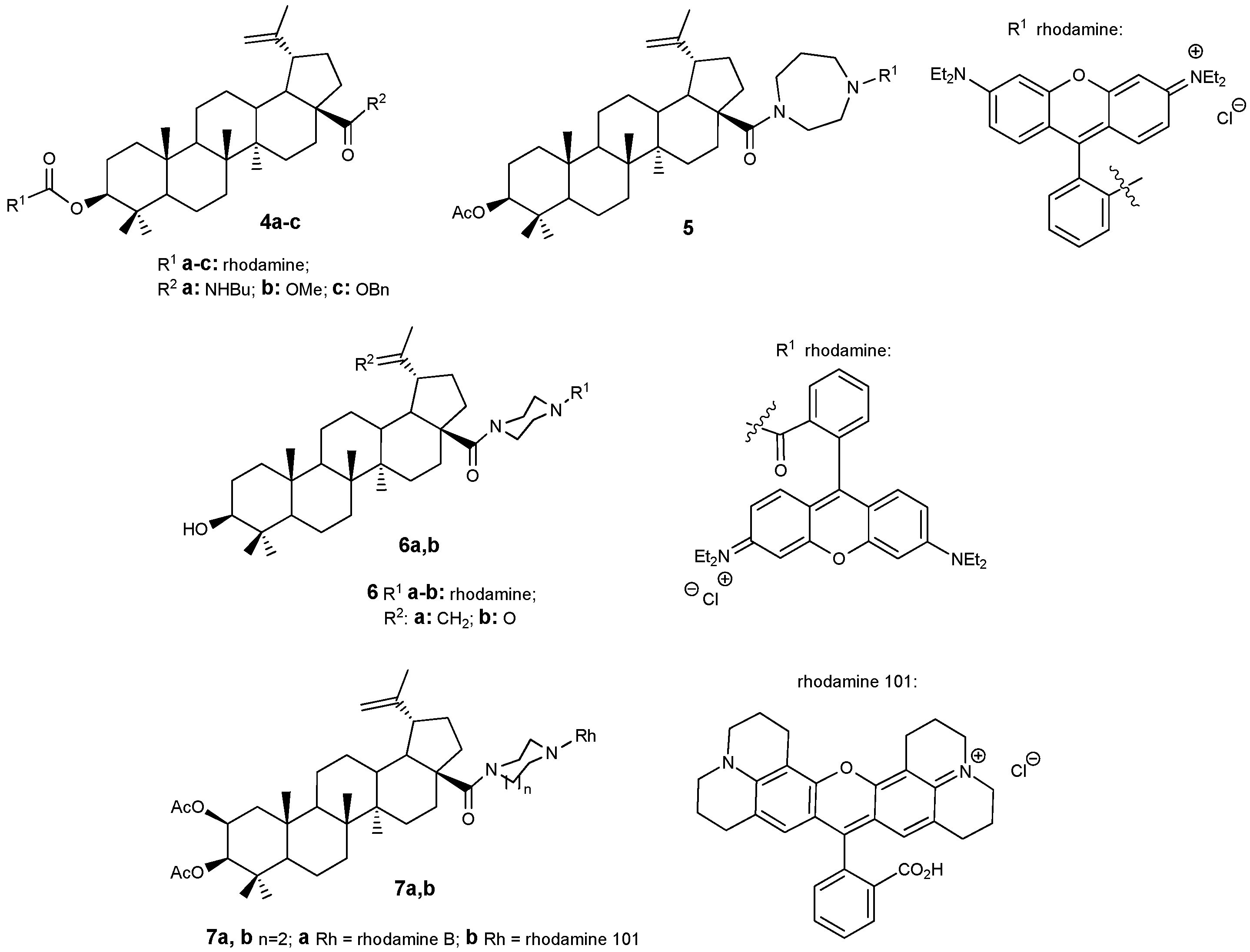 Molecules 30 04108 g003