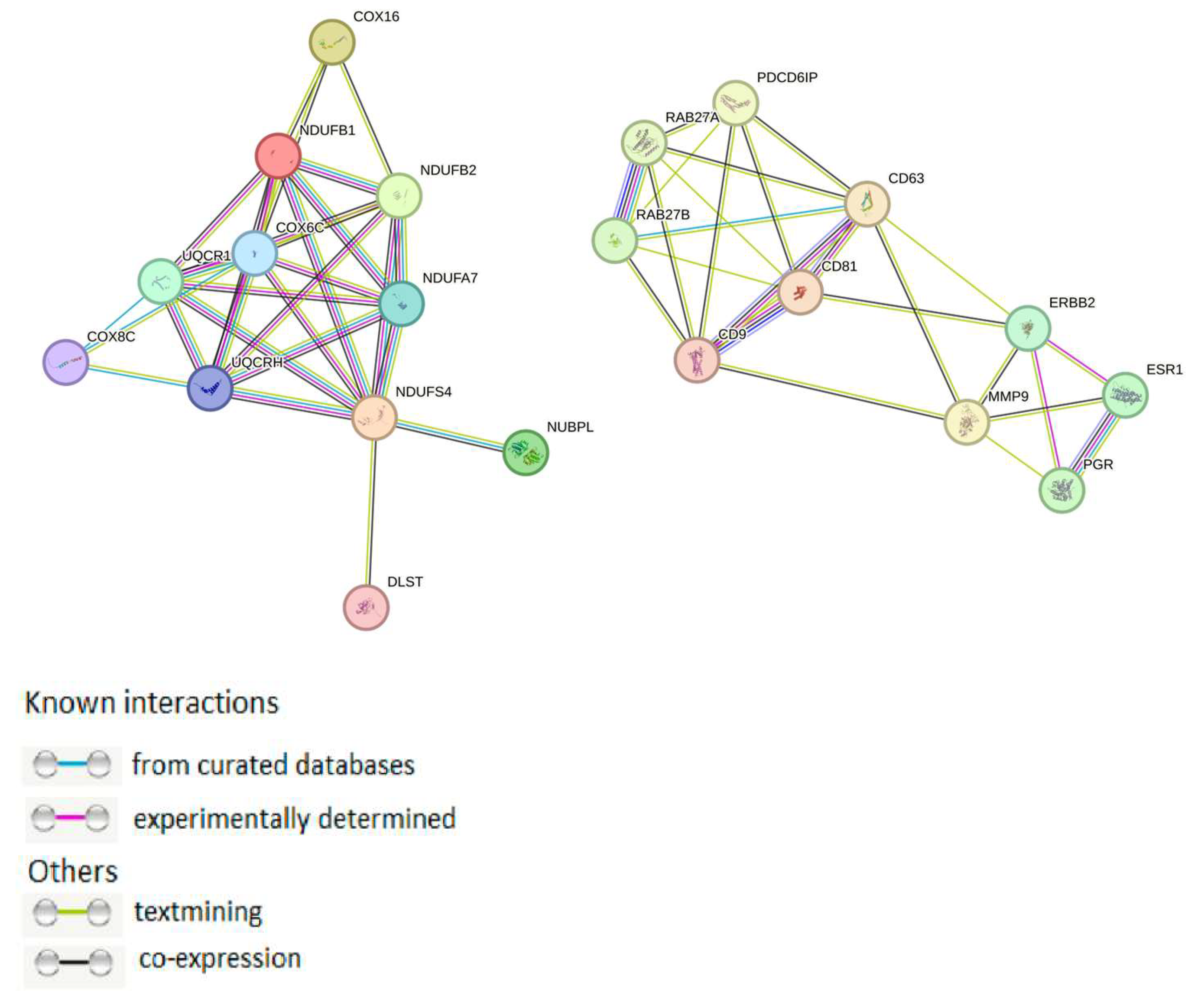 Molecules 30 04112 g002