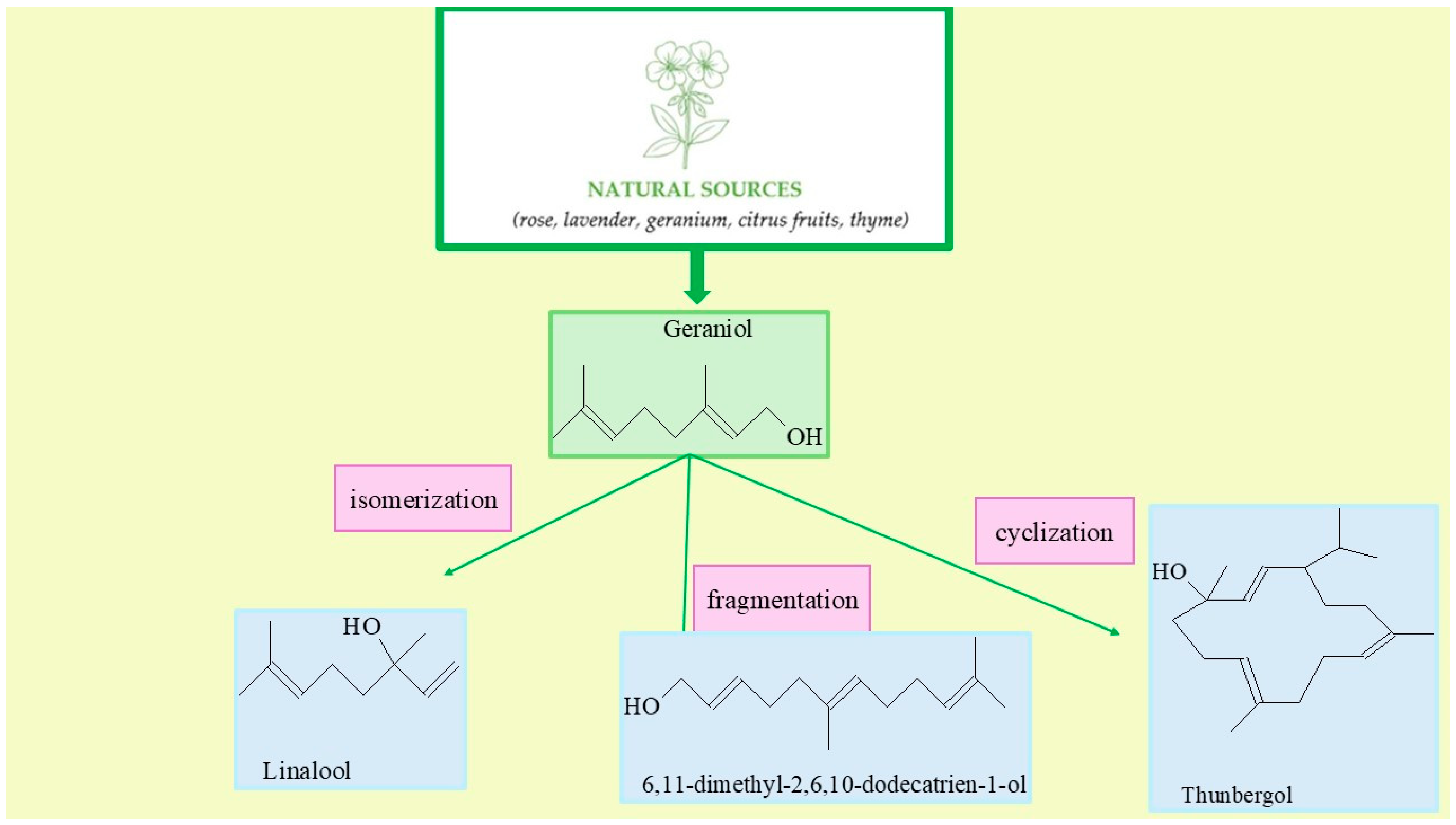 Molecules 30 04113 g001
