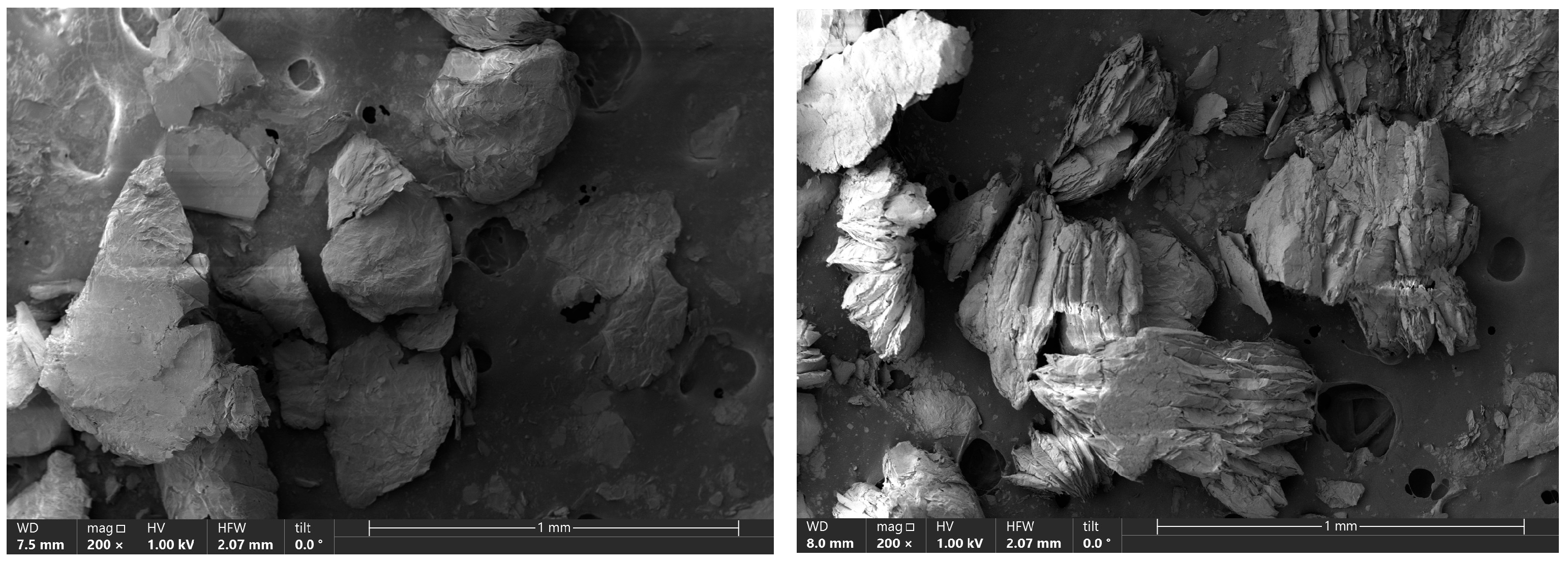 Molecules 30 04113 g004
