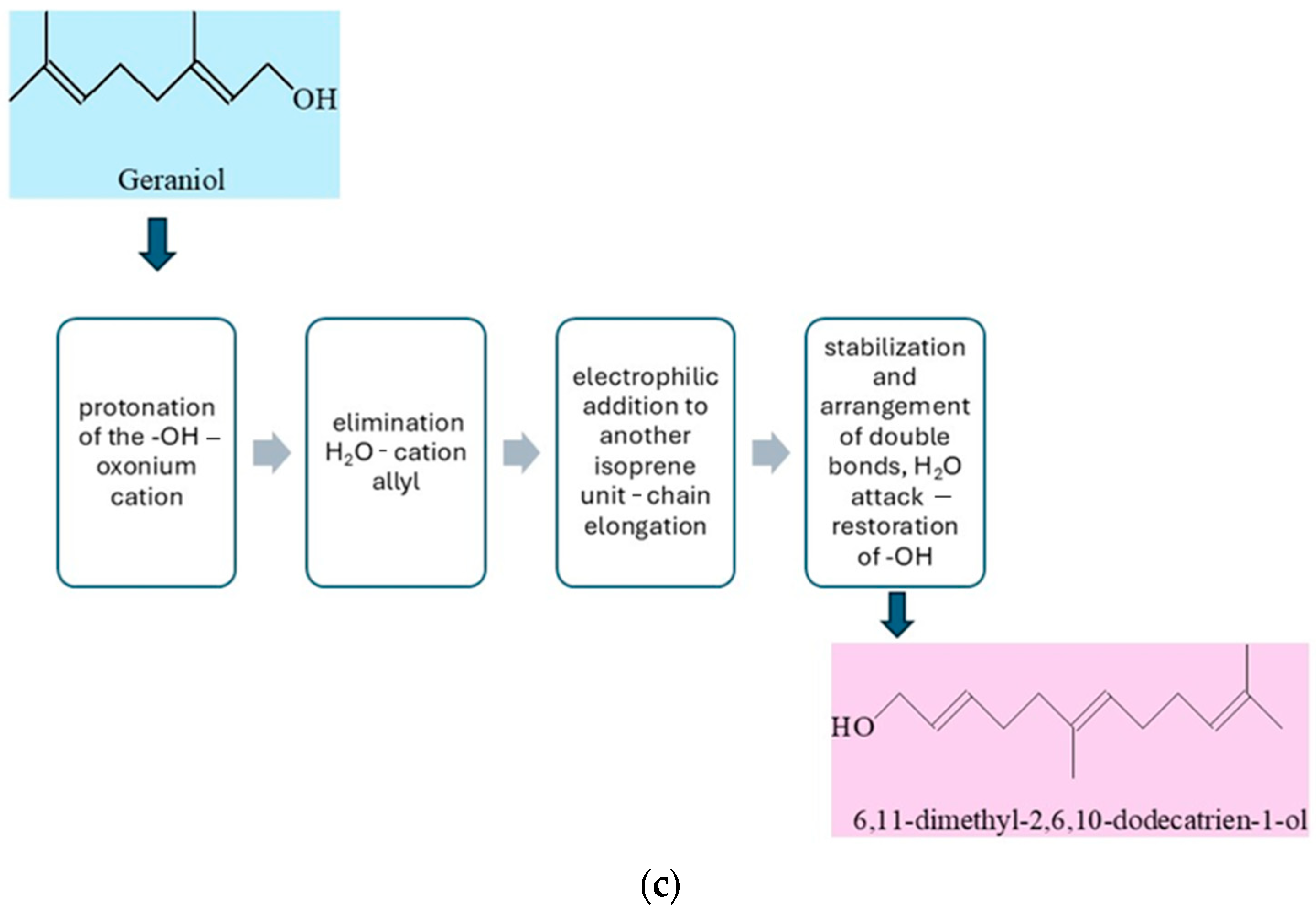 Molecules 30 04113 g005b