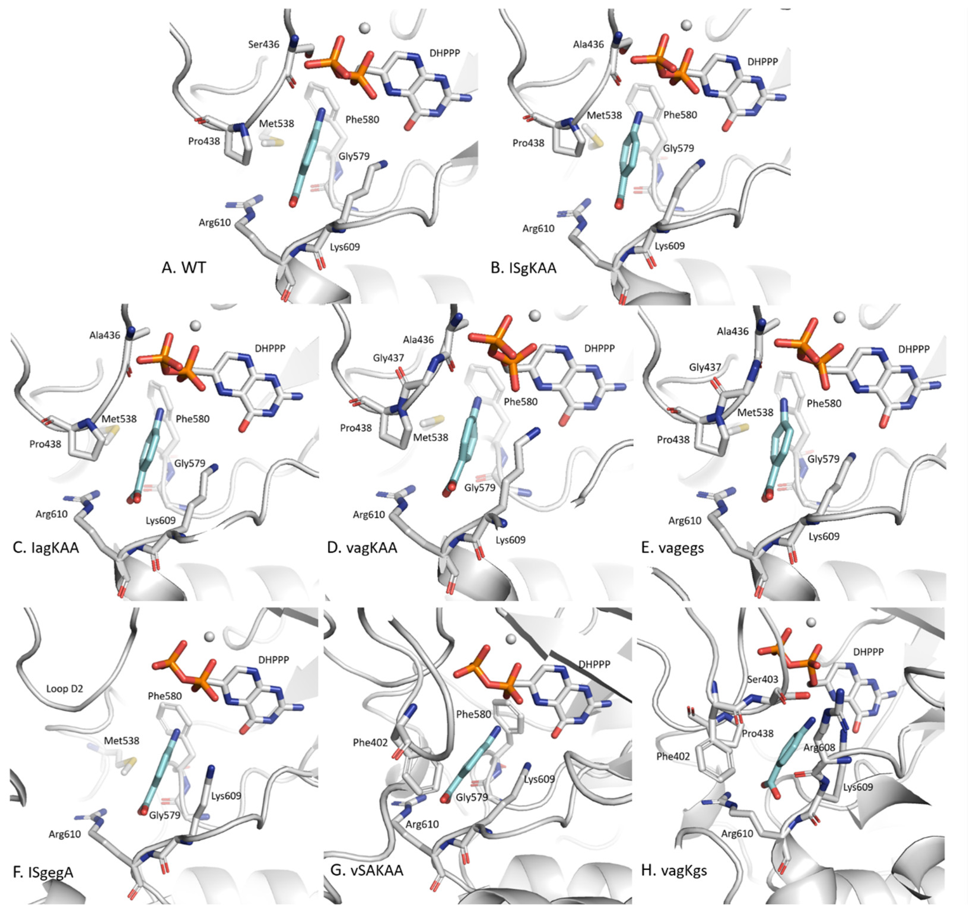 Molecules 30 04118 g004