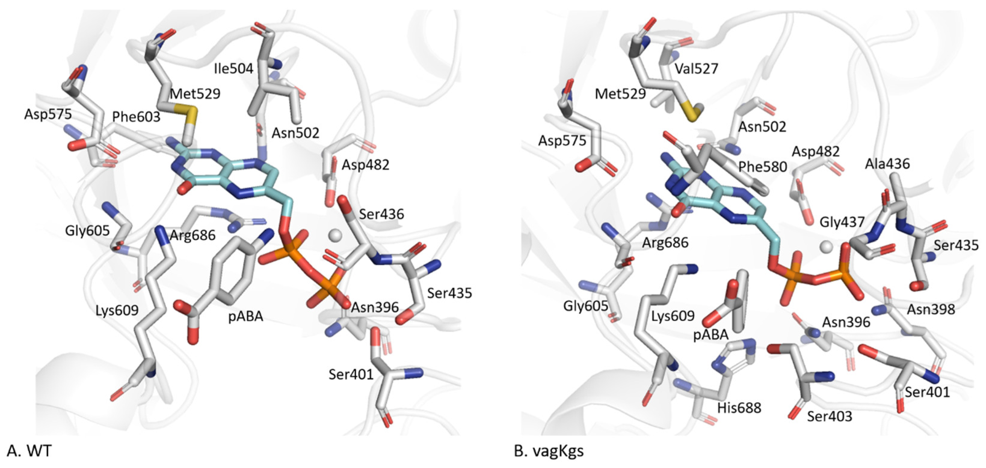 Molecules 30 04118 g005