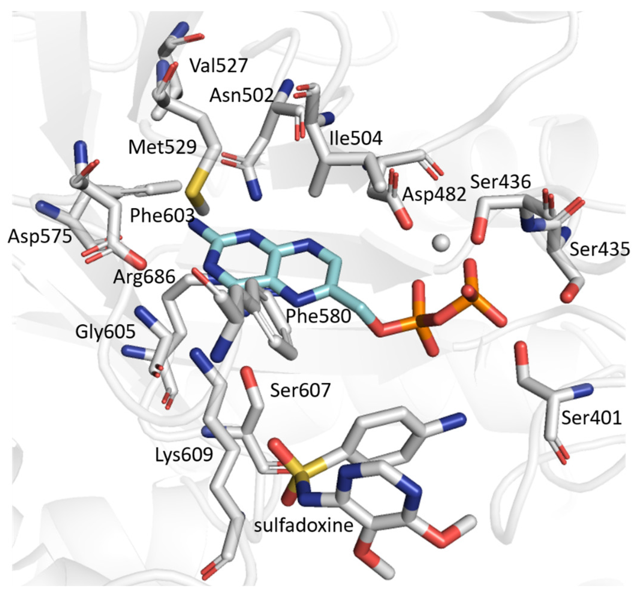 Molecules 30 04118 g007