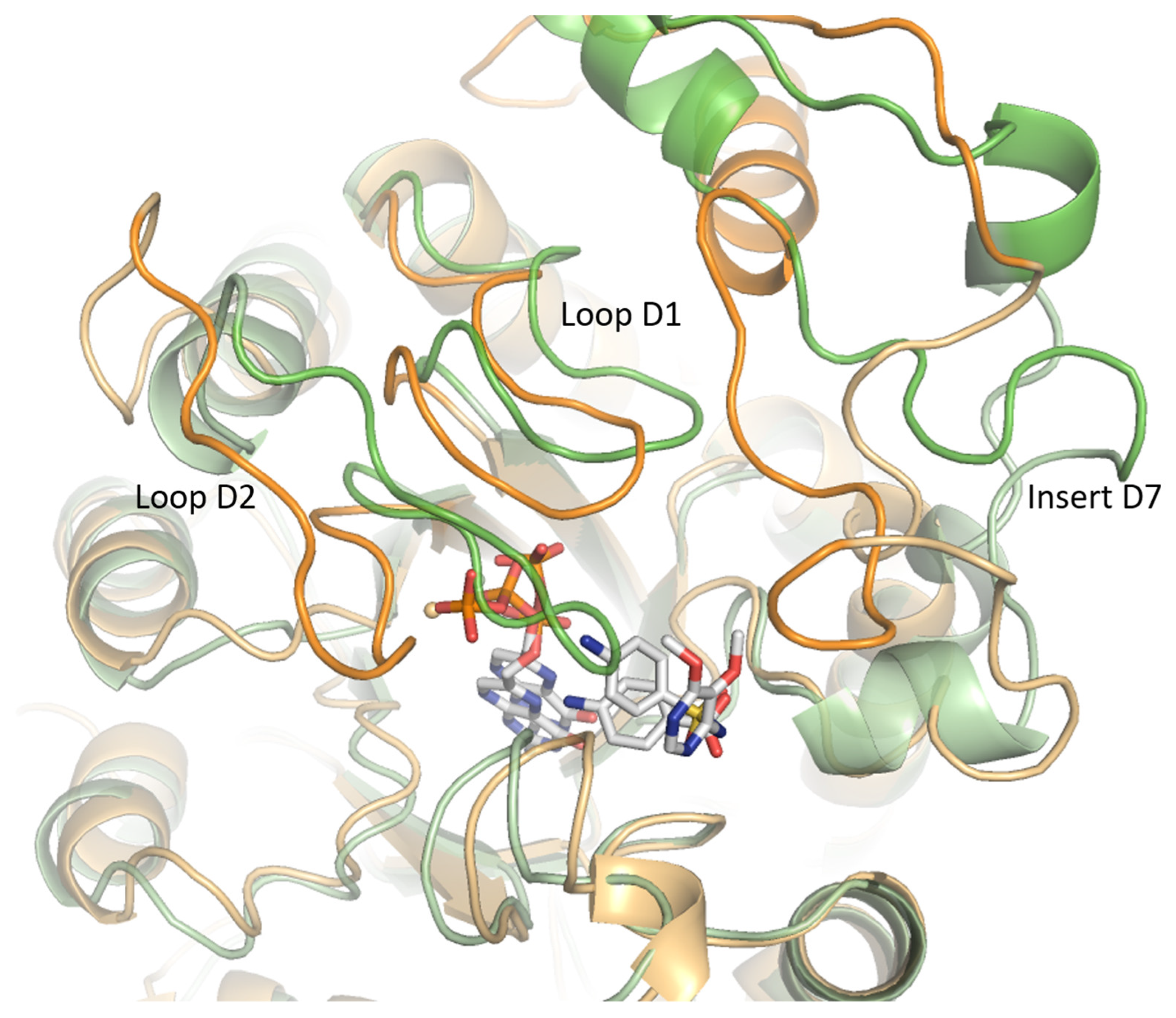 Molecules 30 04118 g008