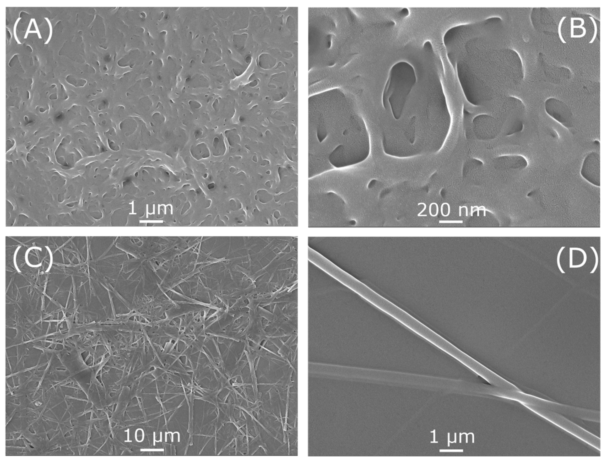Molecules 30 04119 g002