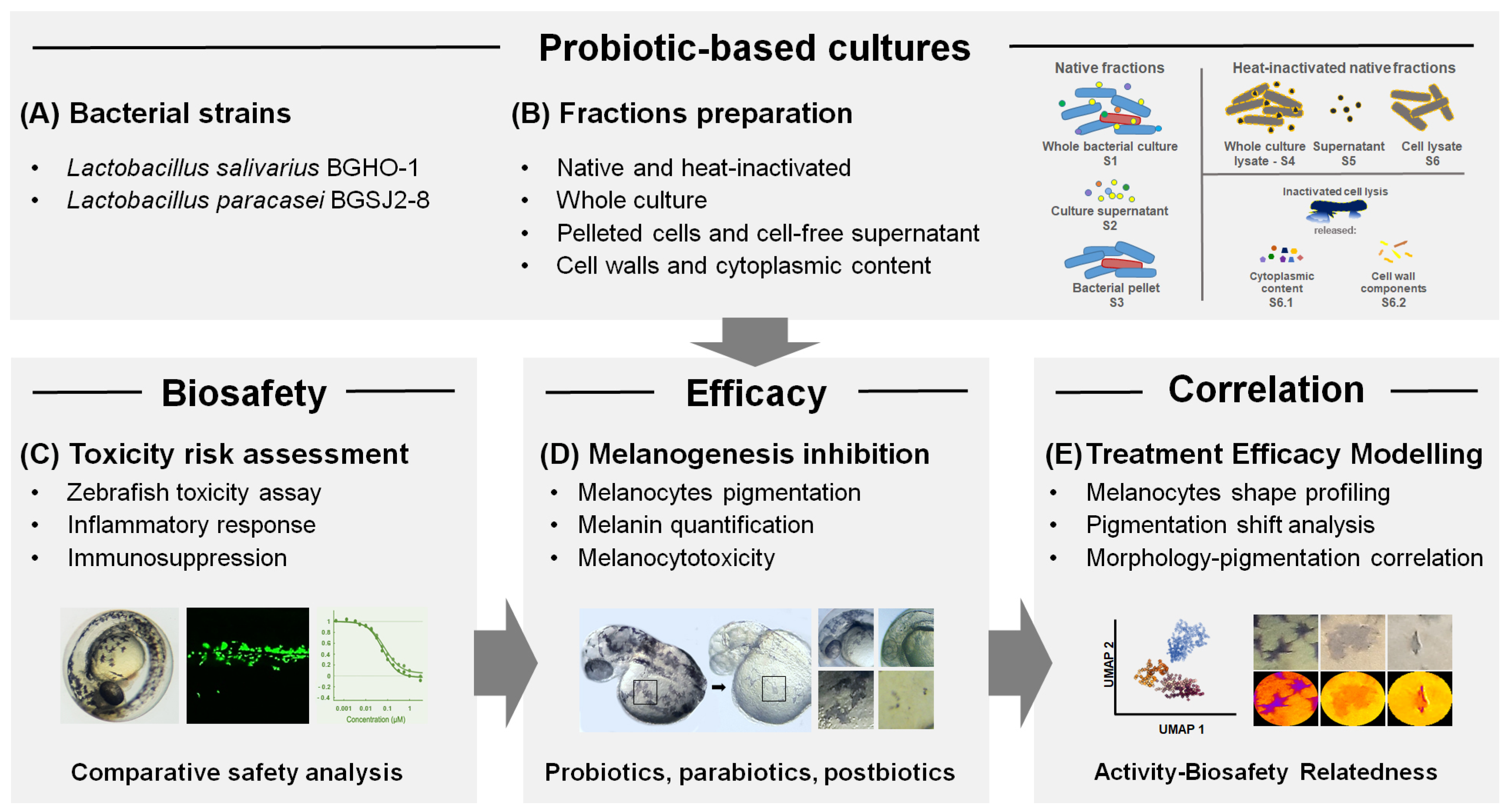 Molecules 30 04134 g001