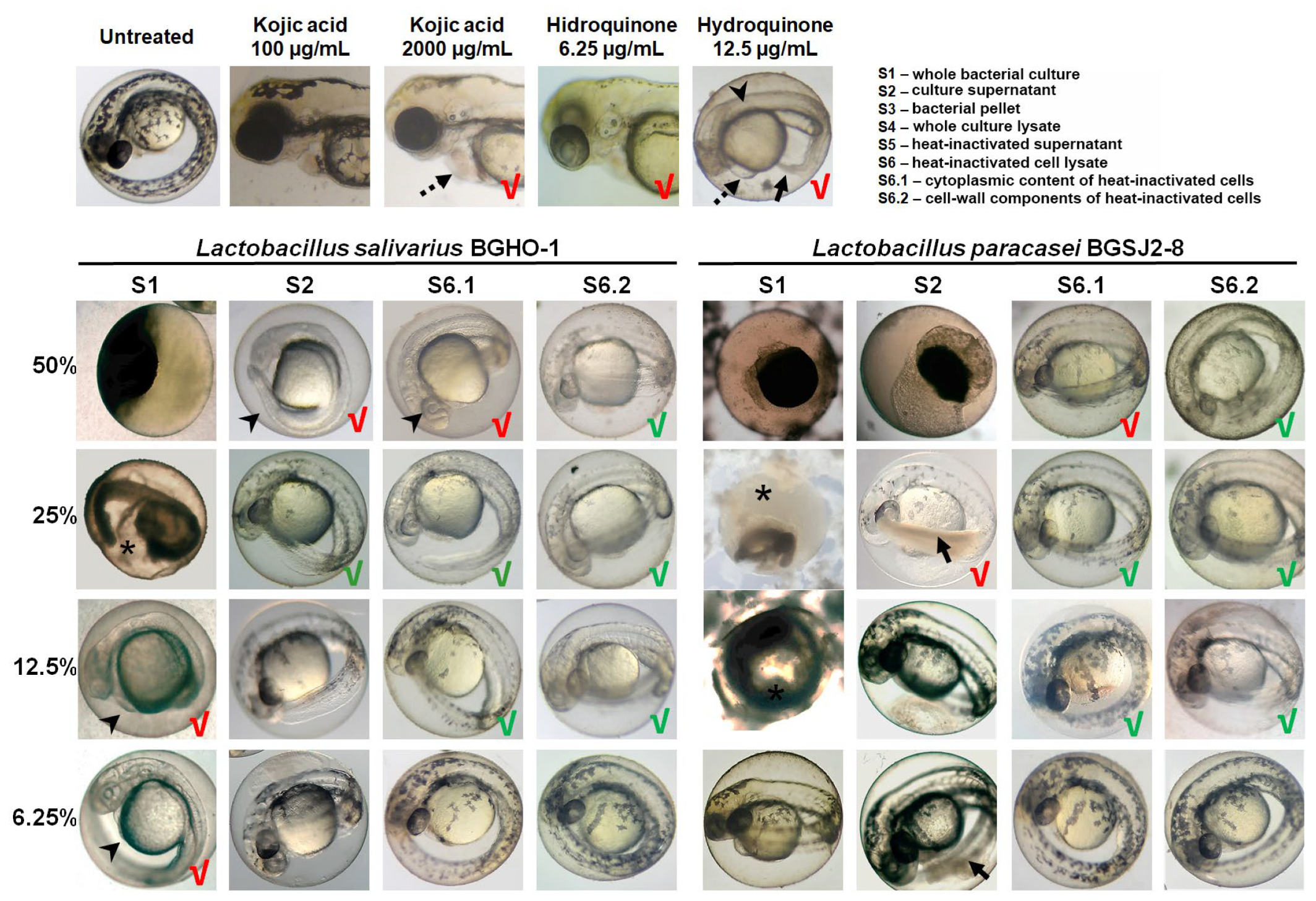 Molecules 30 04134 g003