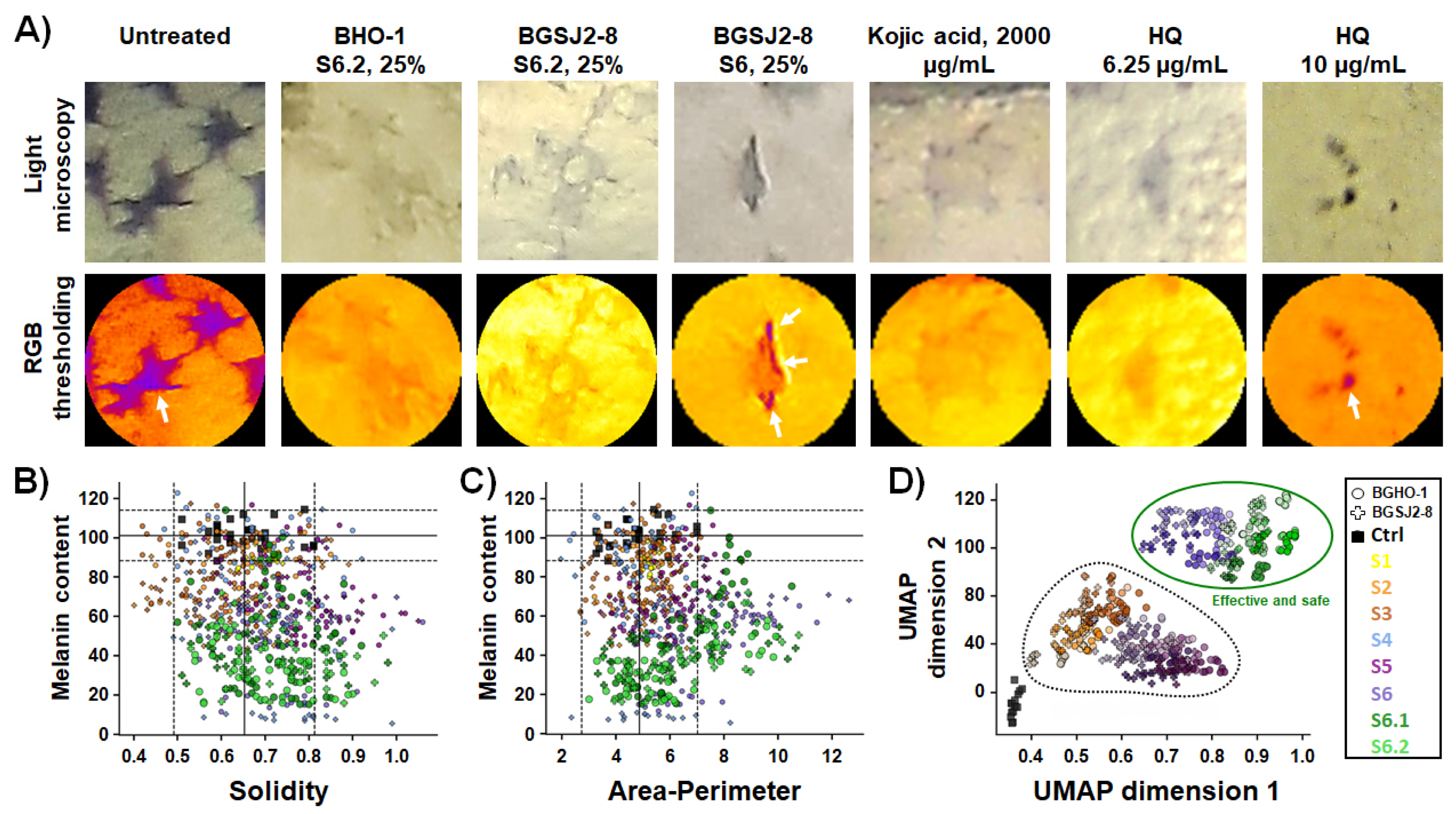 Molecules 30 04134 g005