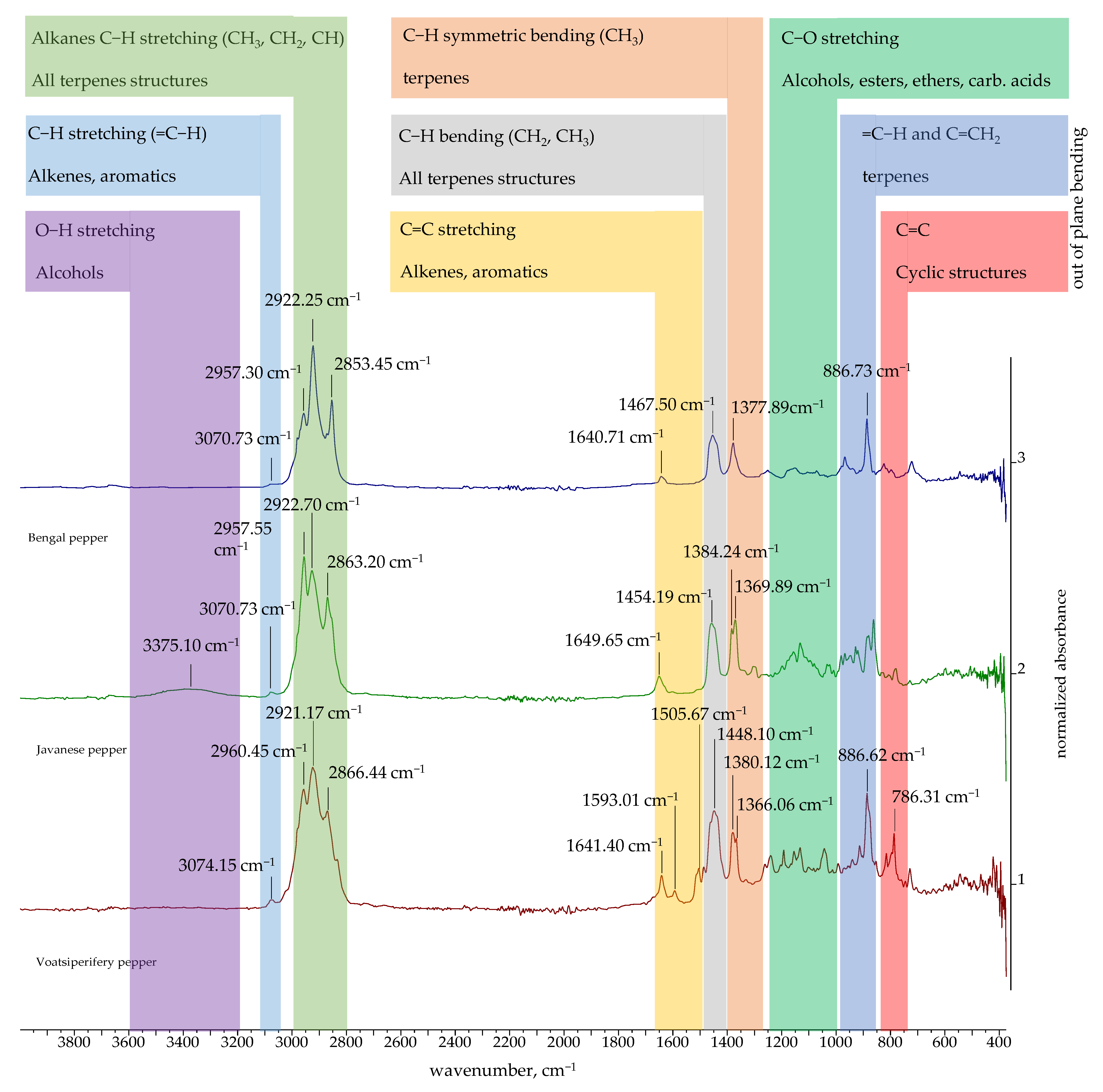 Molecules 30 04140 g003