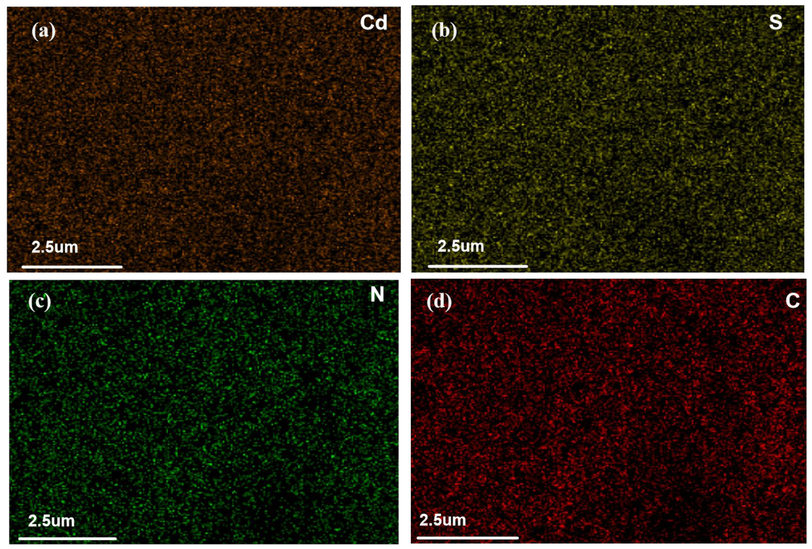 Molecules 30 04141 g012