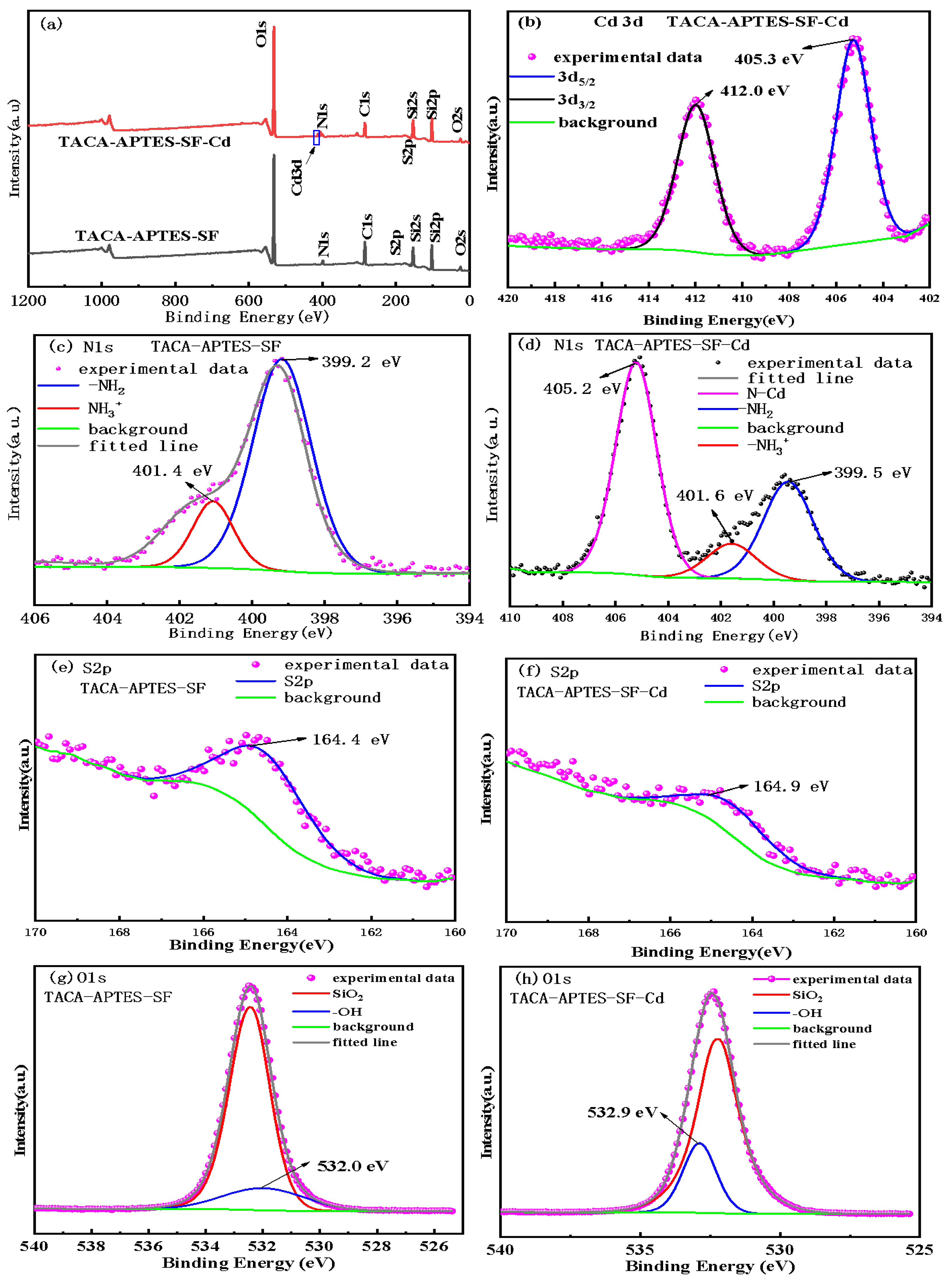 Molecules 30 04141 g014