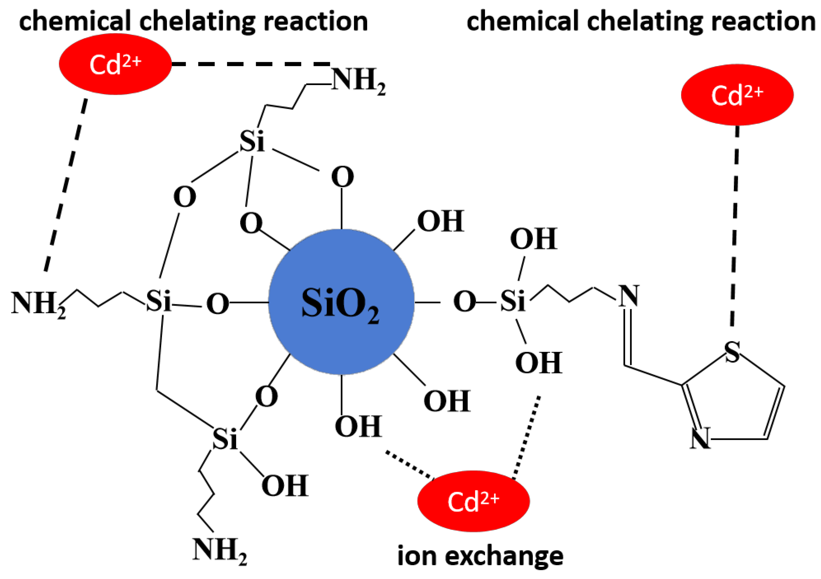 Molecules 30 04141 g015