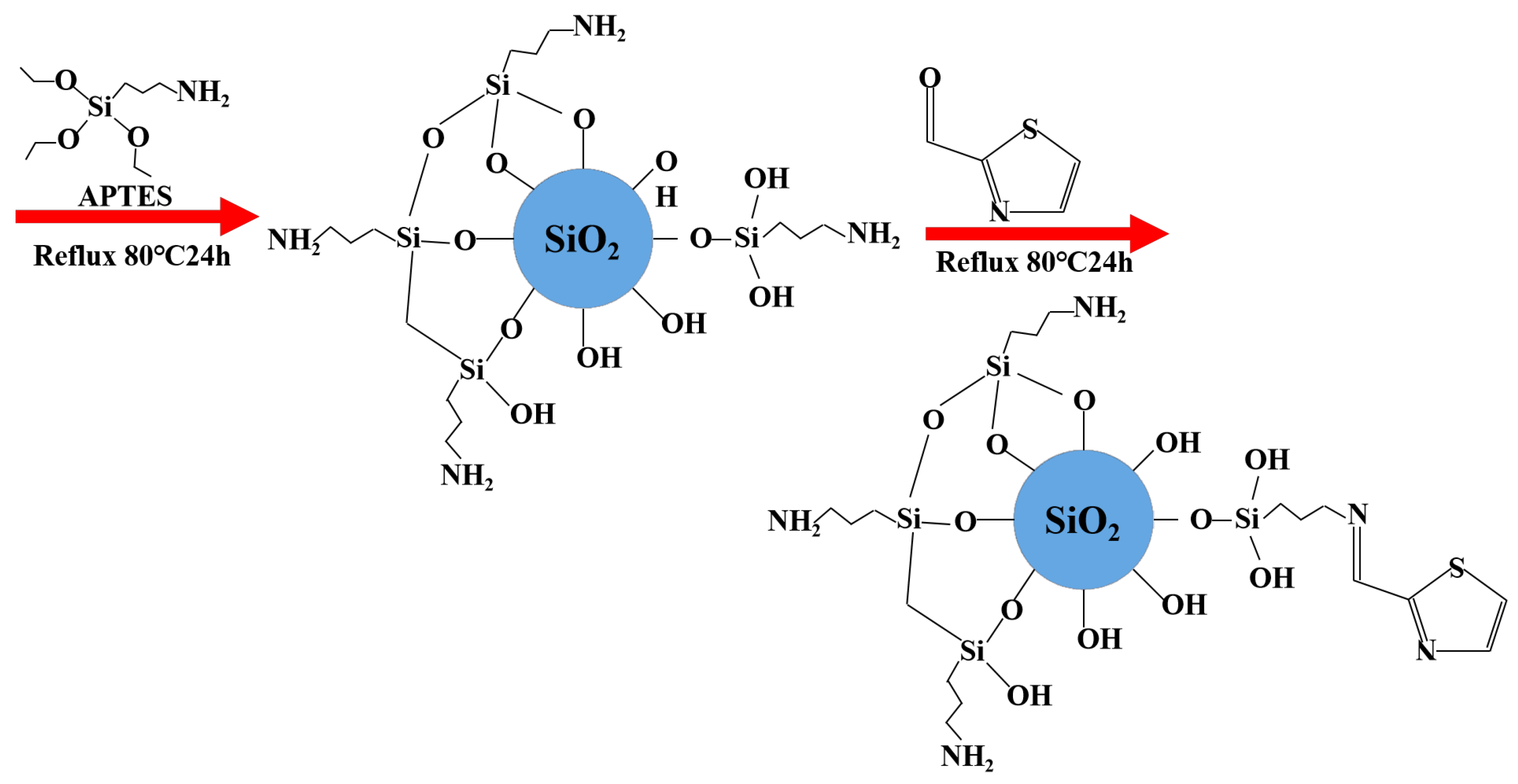 Molecules 30 04141 g017