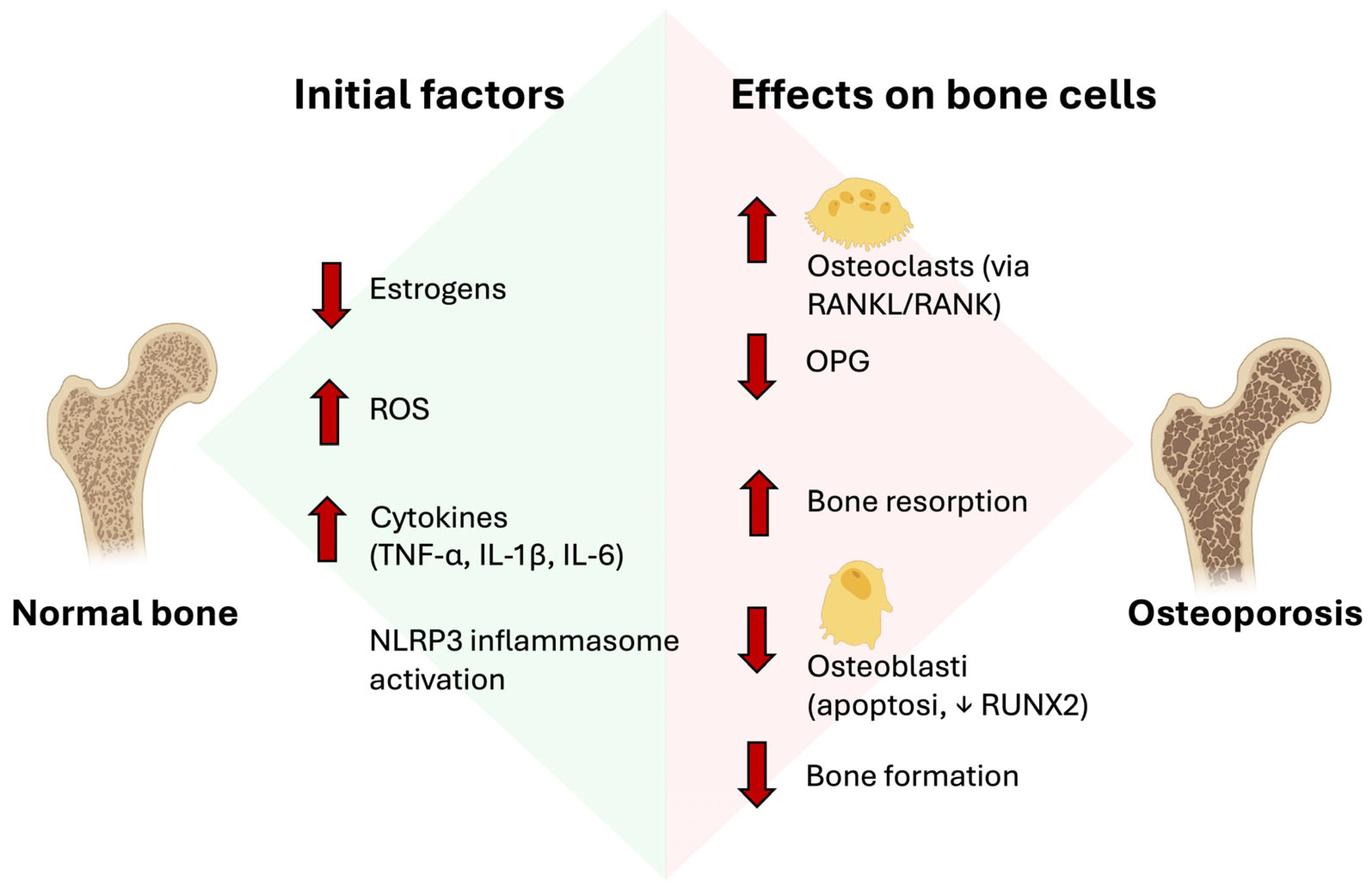 Molecules 30 04154 g002 Molecules 30 04154 g002