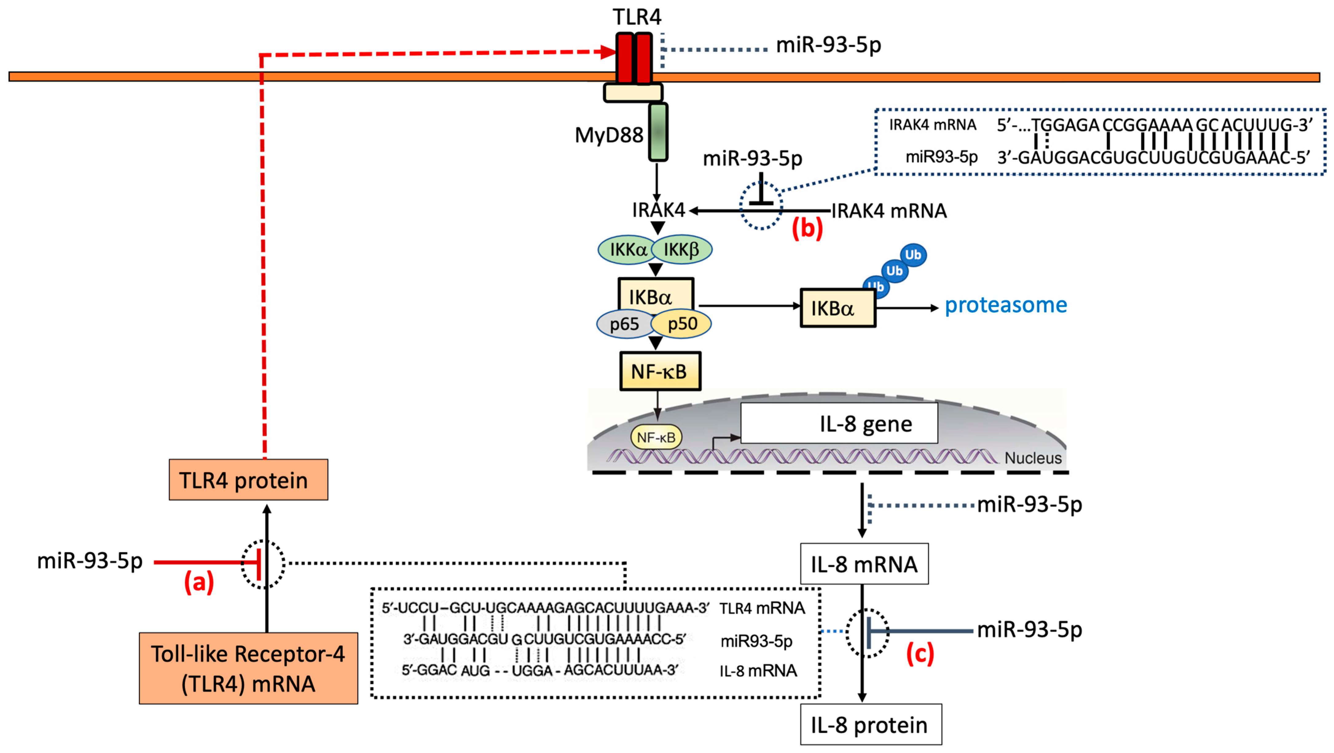 Molecules 30 04155 g003 Molecules 30 04155 g003