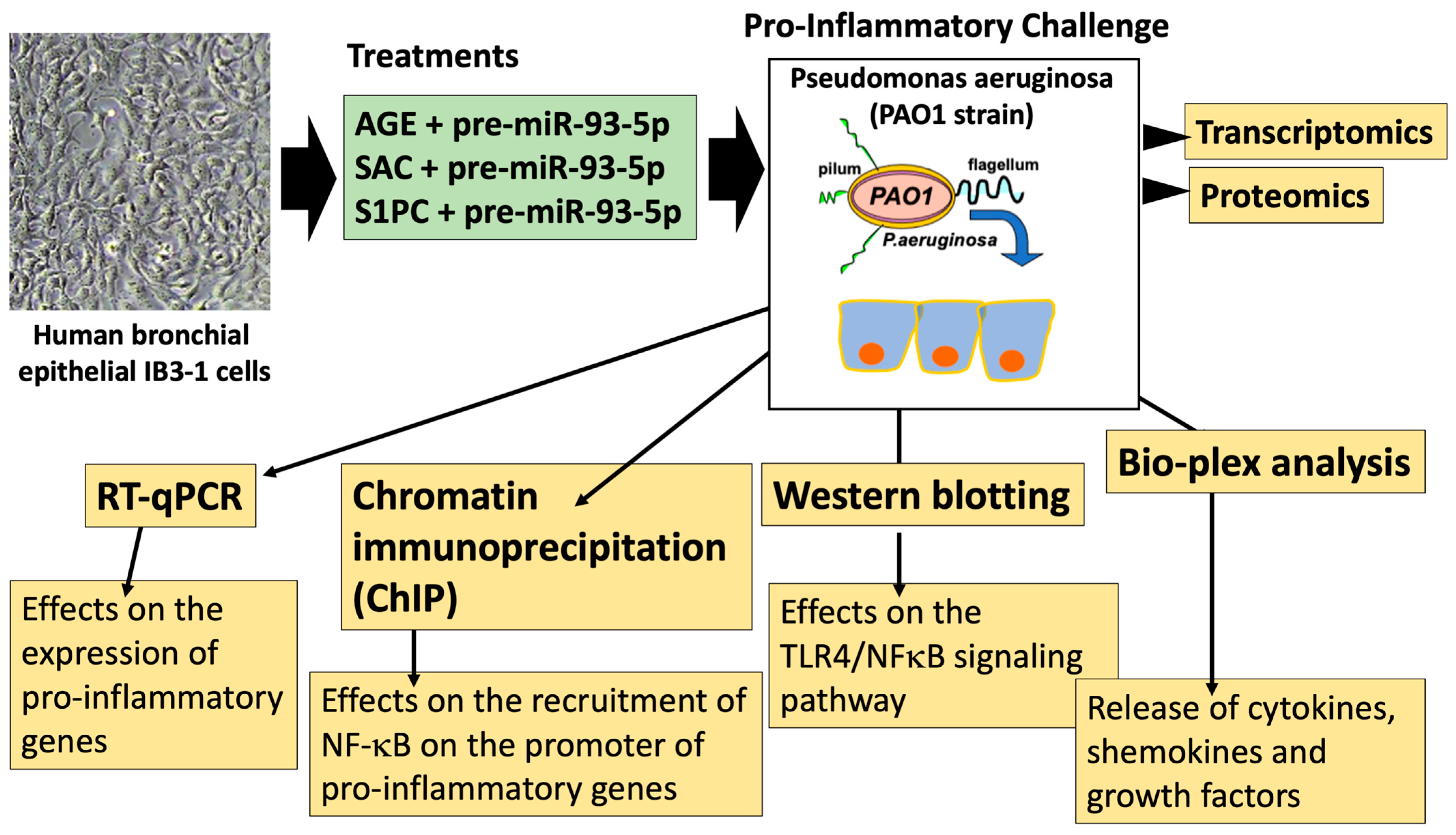 Molecules 30 04155 g004 Molecules 30 04155 g004