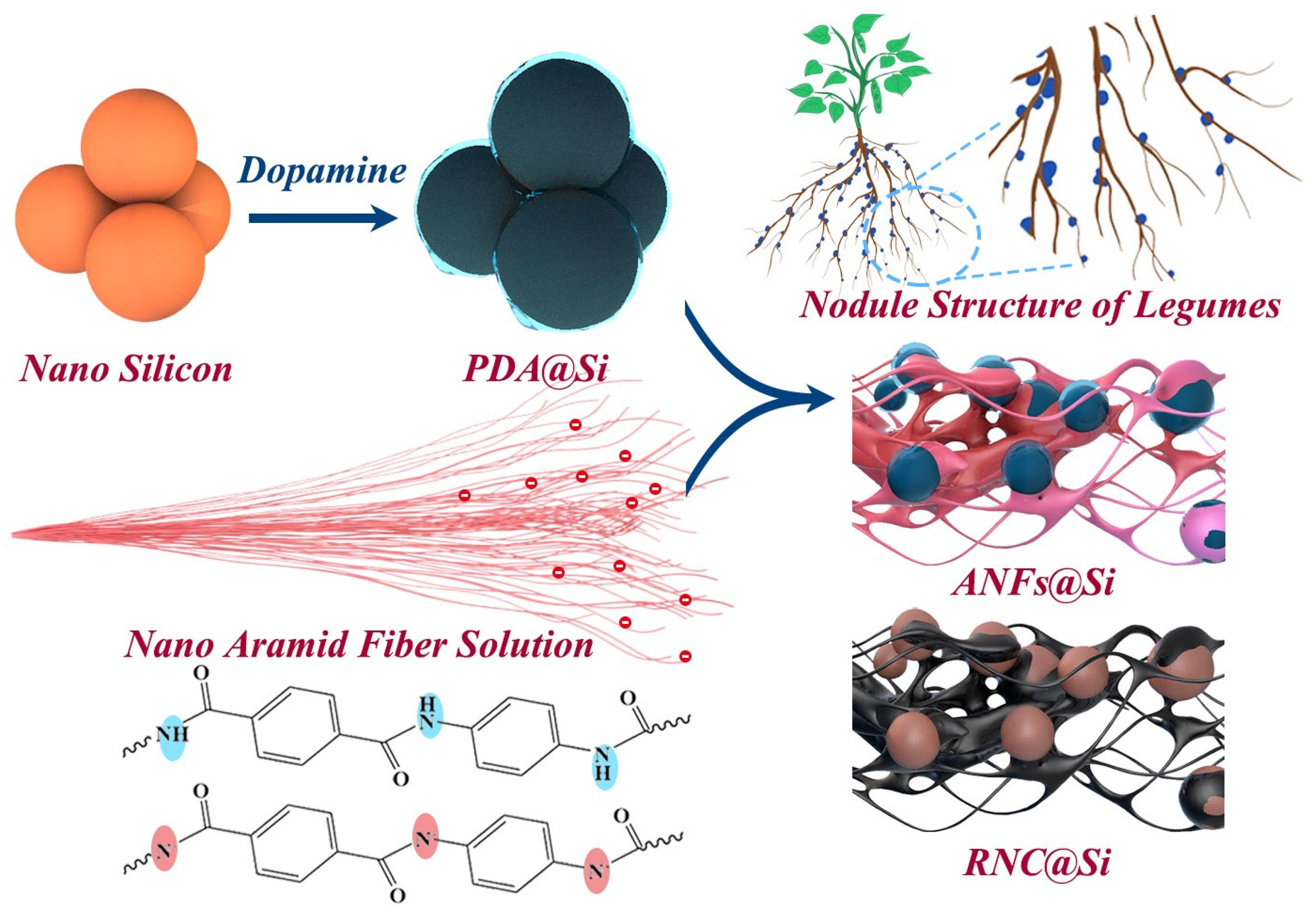Molecules 30 04157 g001