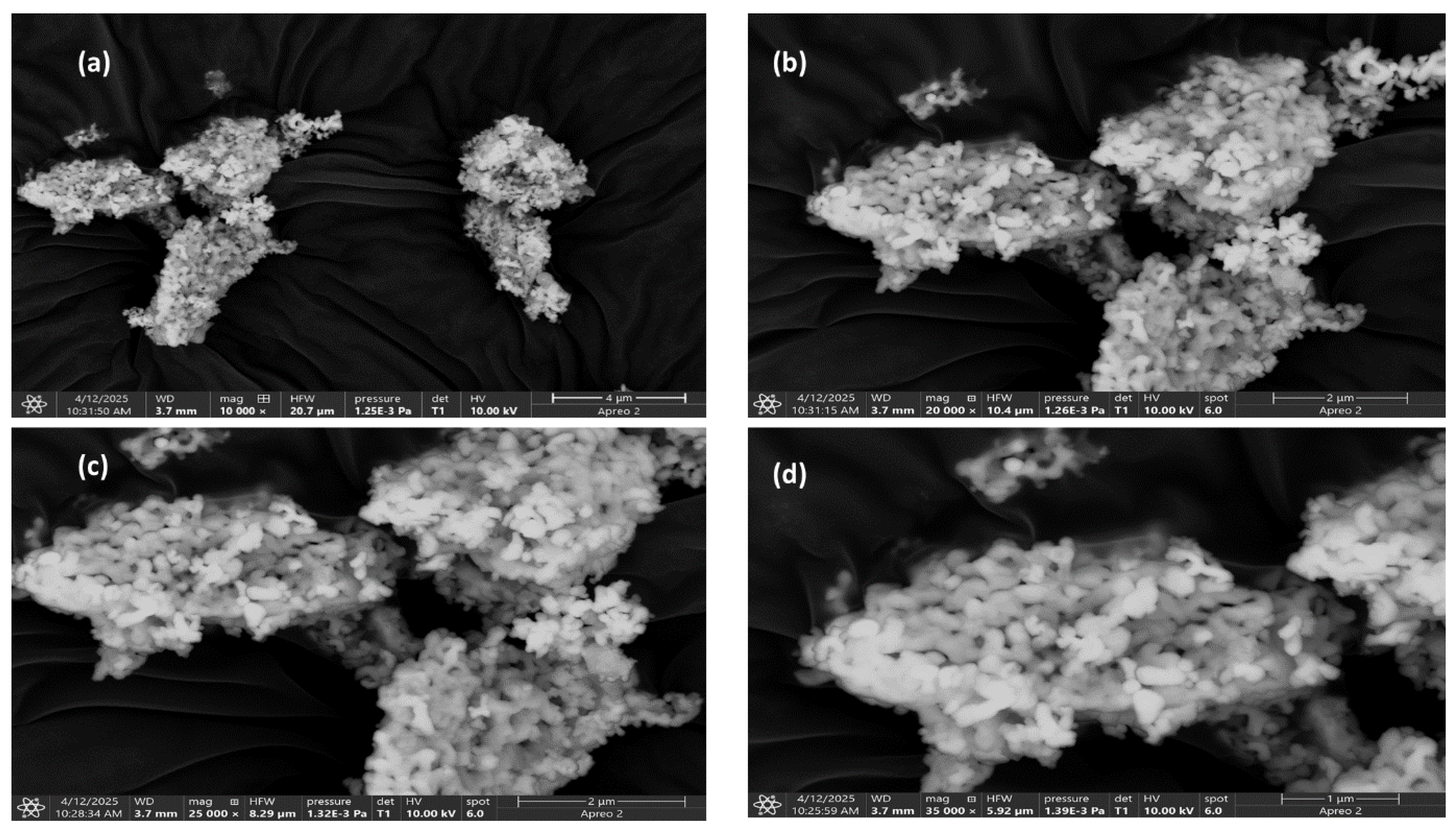 Molecules 30 04161 g003 Molecules 30 04161 g003