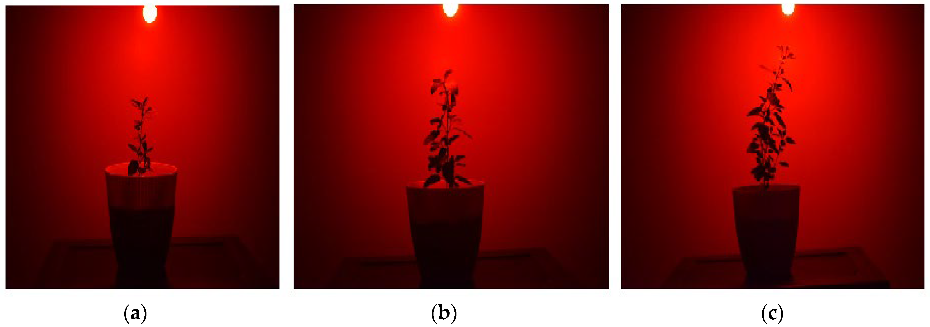Molecules 30 04161 g008 Molecules 30 04161 g008