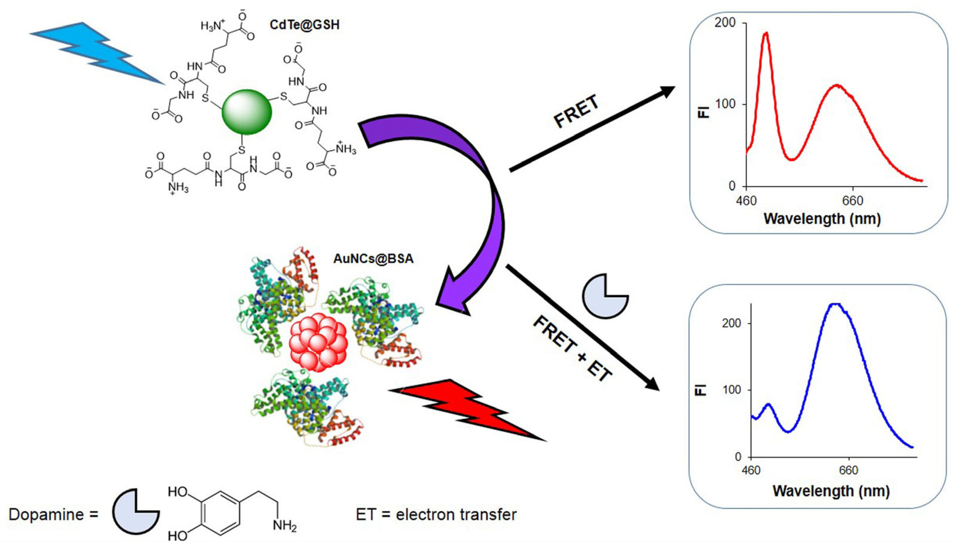 Molecules 30 04169 sch001