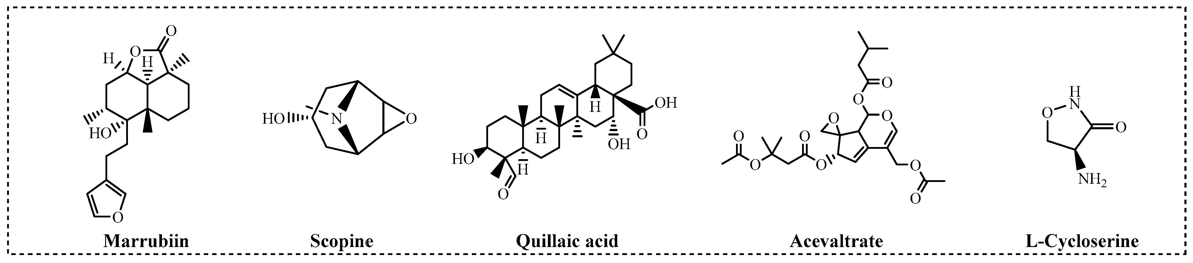 Molecules 30 04170 g003 Molecules 30 04170 g003