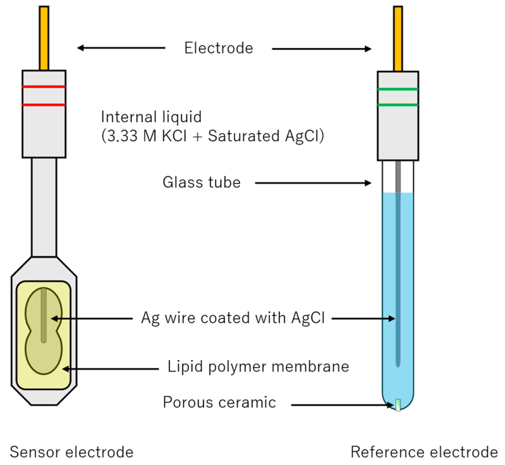 Molecules 30 04171 g009