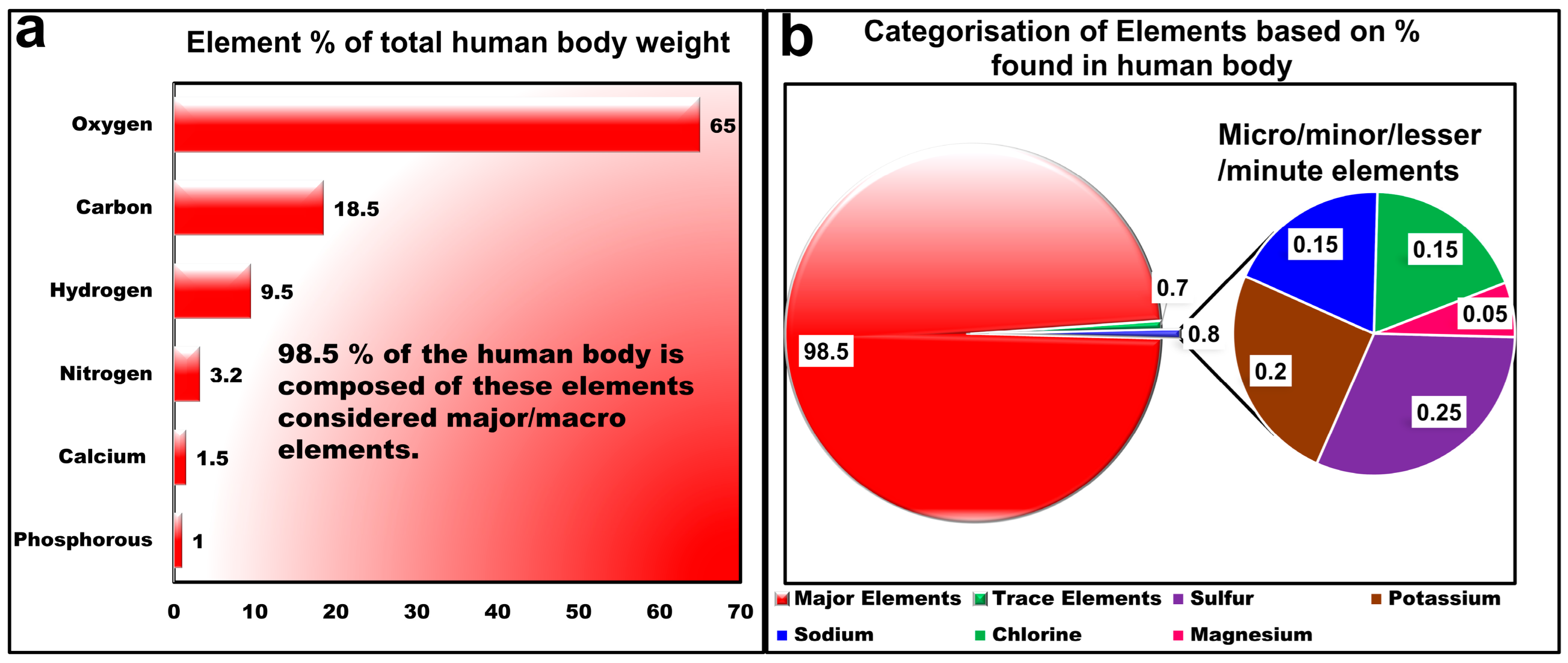 Molecules 30 04176 g003 Molecules 30 04176 g003