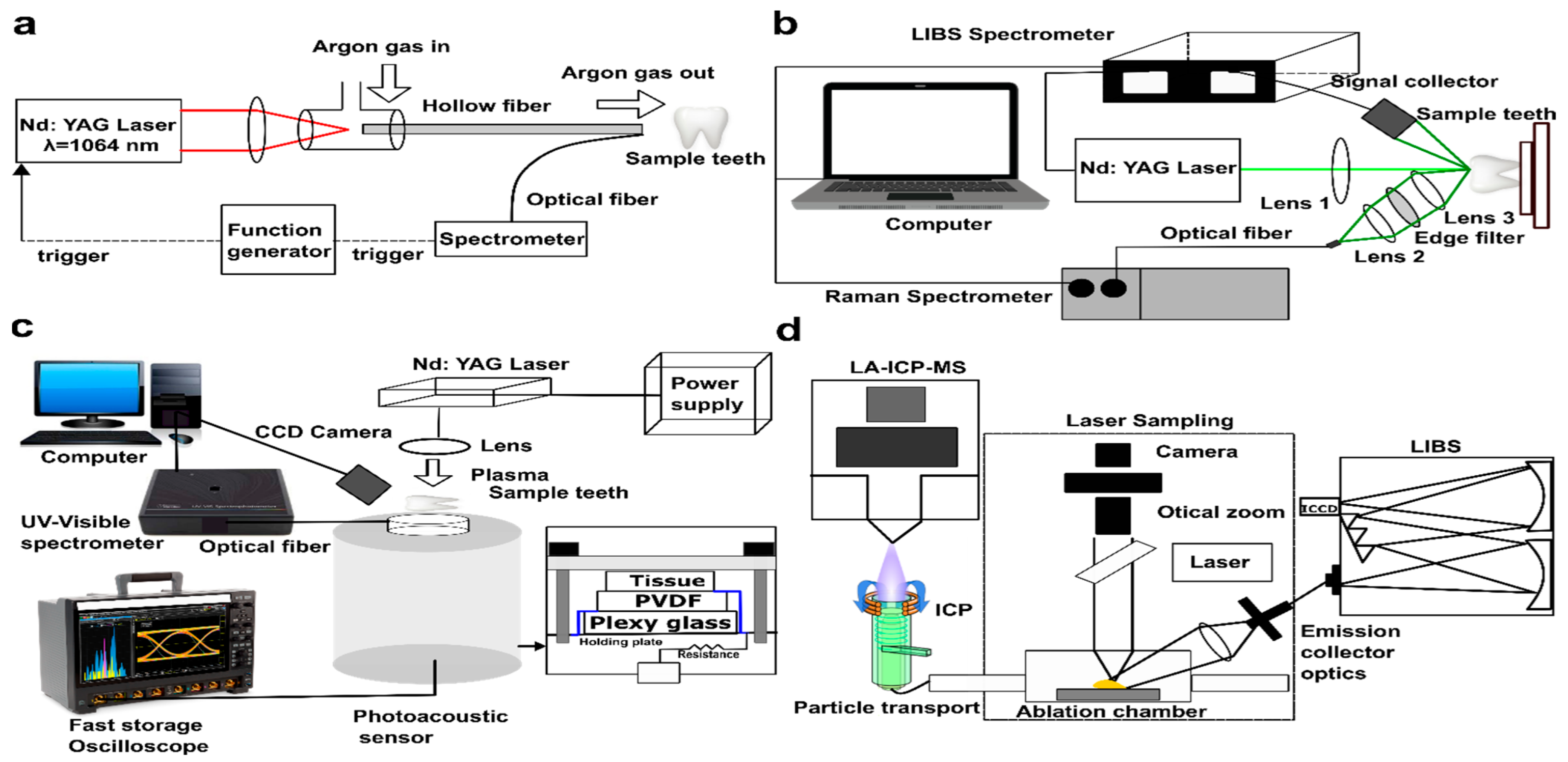 Molecules 30 04176 g008 Molecules 30 04176 g008