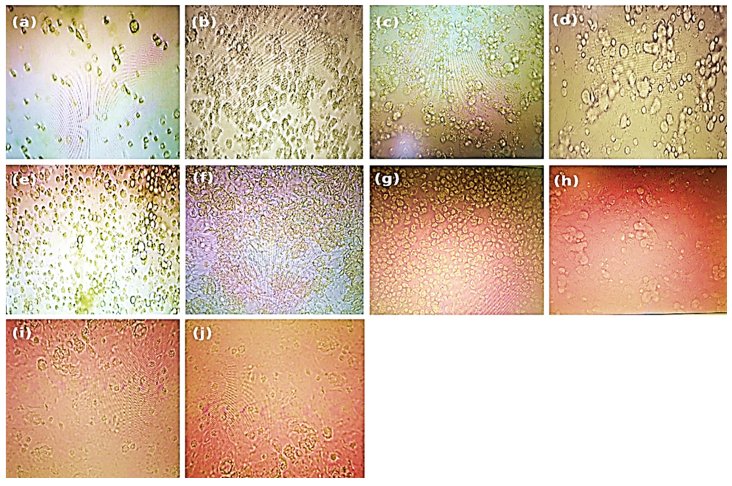 Molecules 30 04179 g003