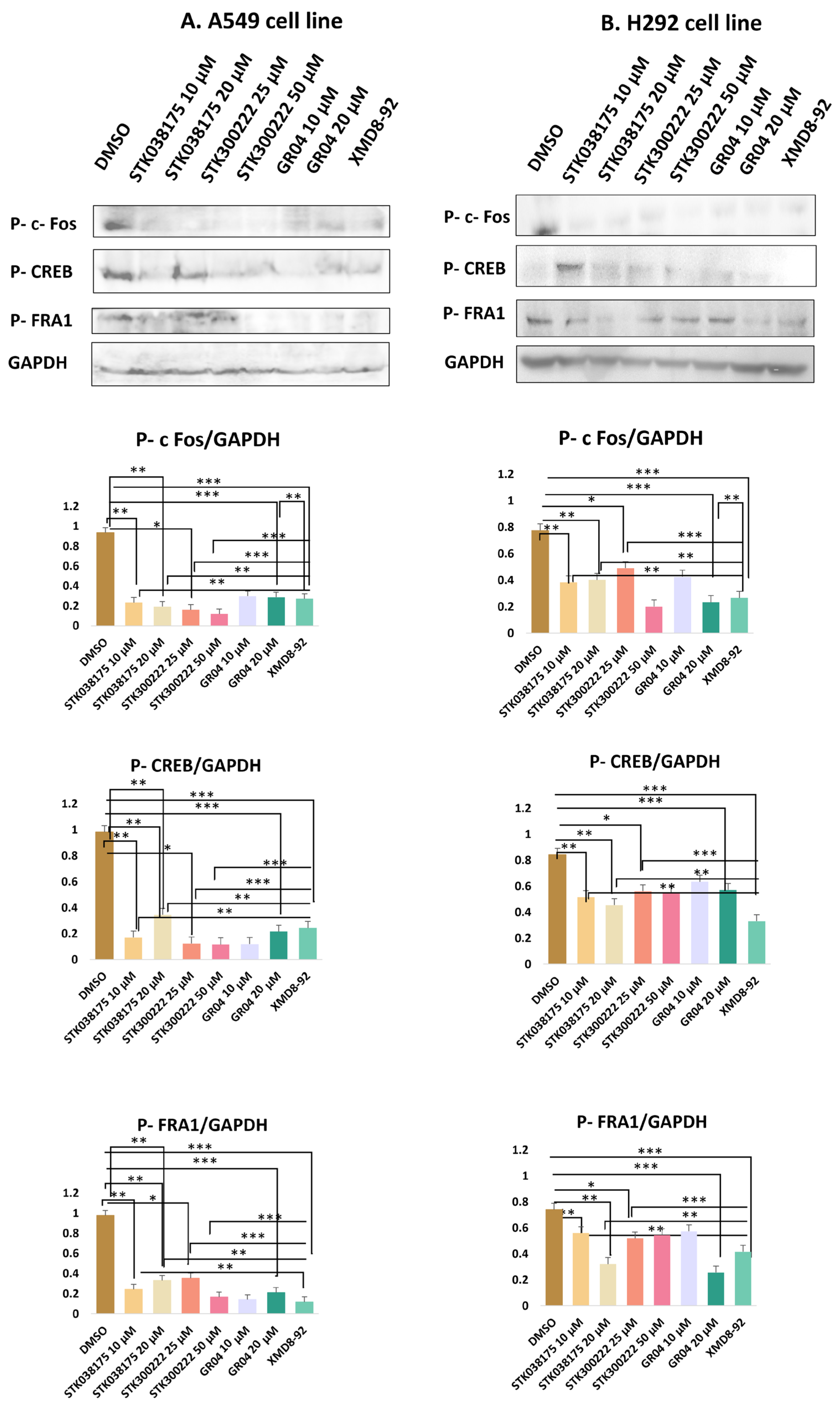 Molecules 30 04181 g002