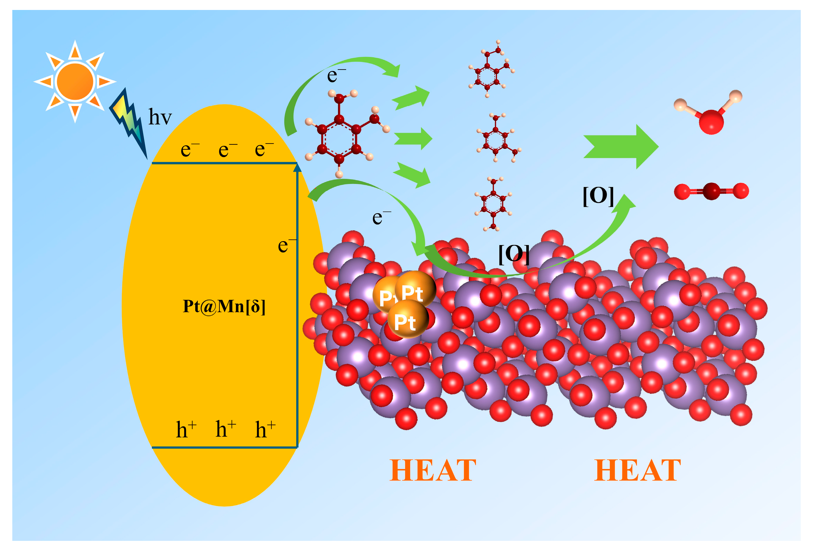 Molecules 30 04193 g008 Molecules 30 04193 g008