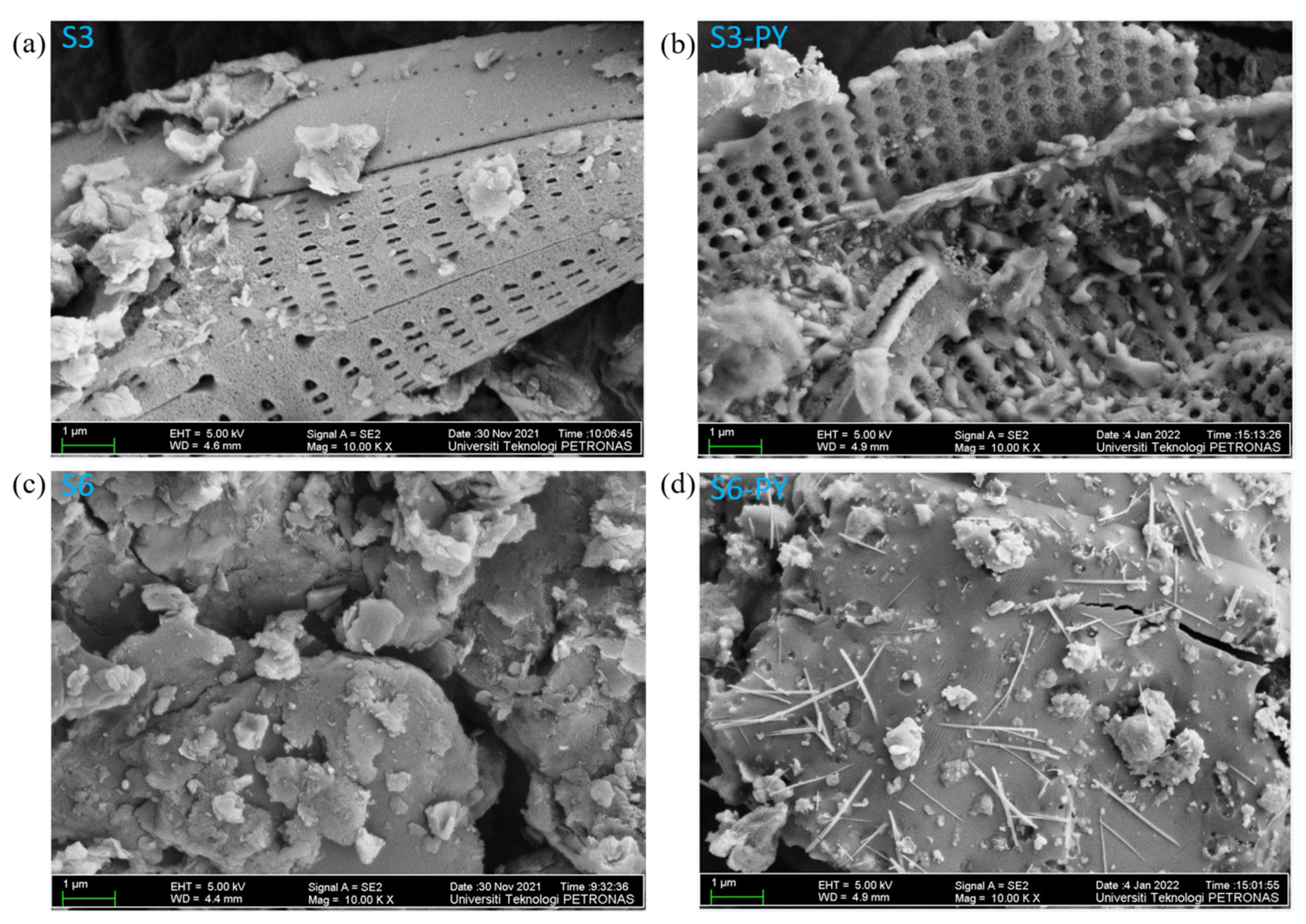Molecules 30 04196 g004