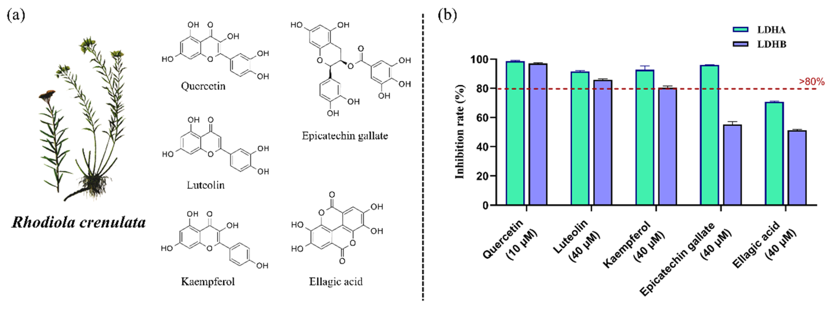 Molecules 30 04199 g005 Molecules 30 04199 g005