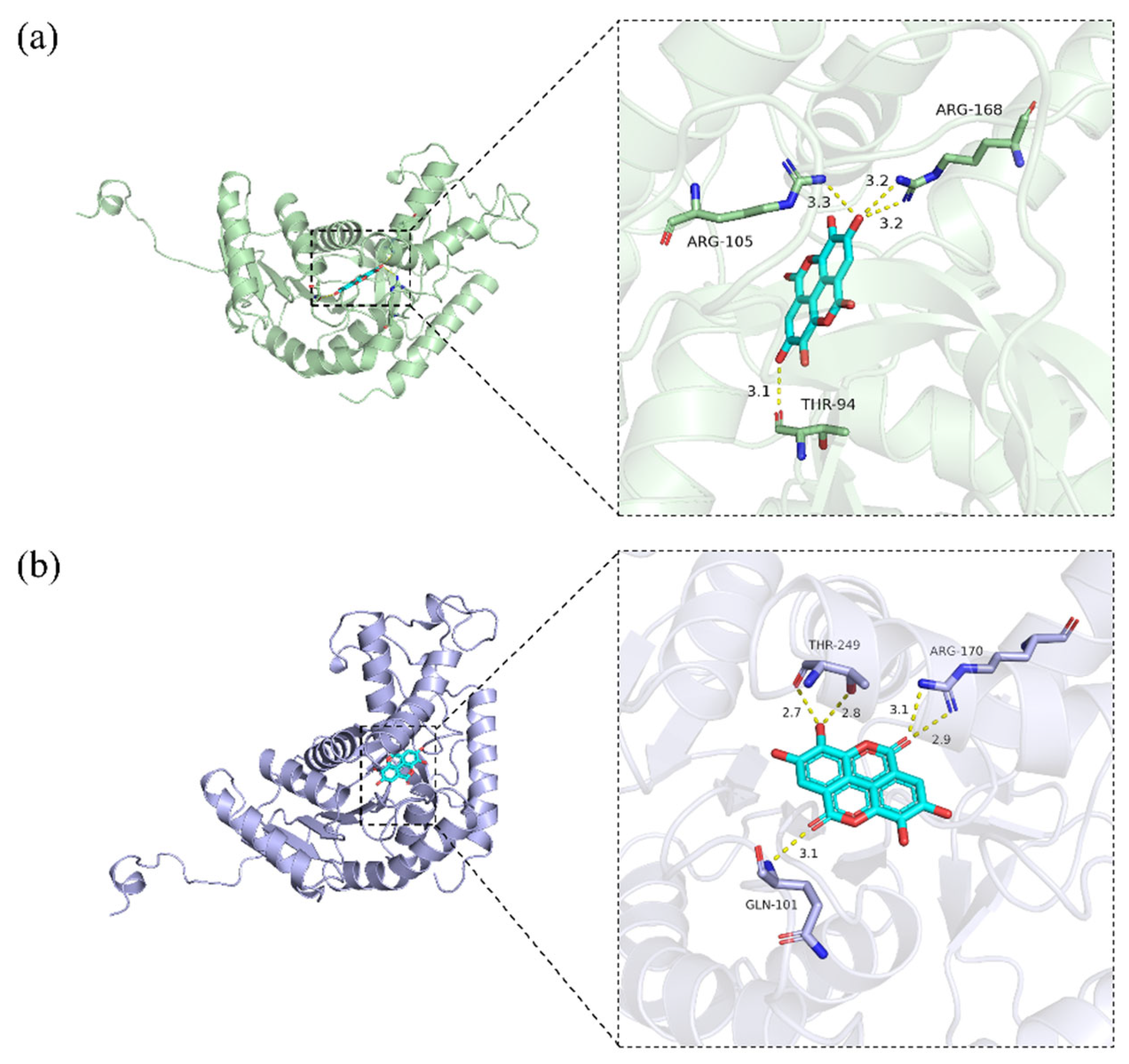 Molecules 30 04199 g007 Molecules 30 04199 g007