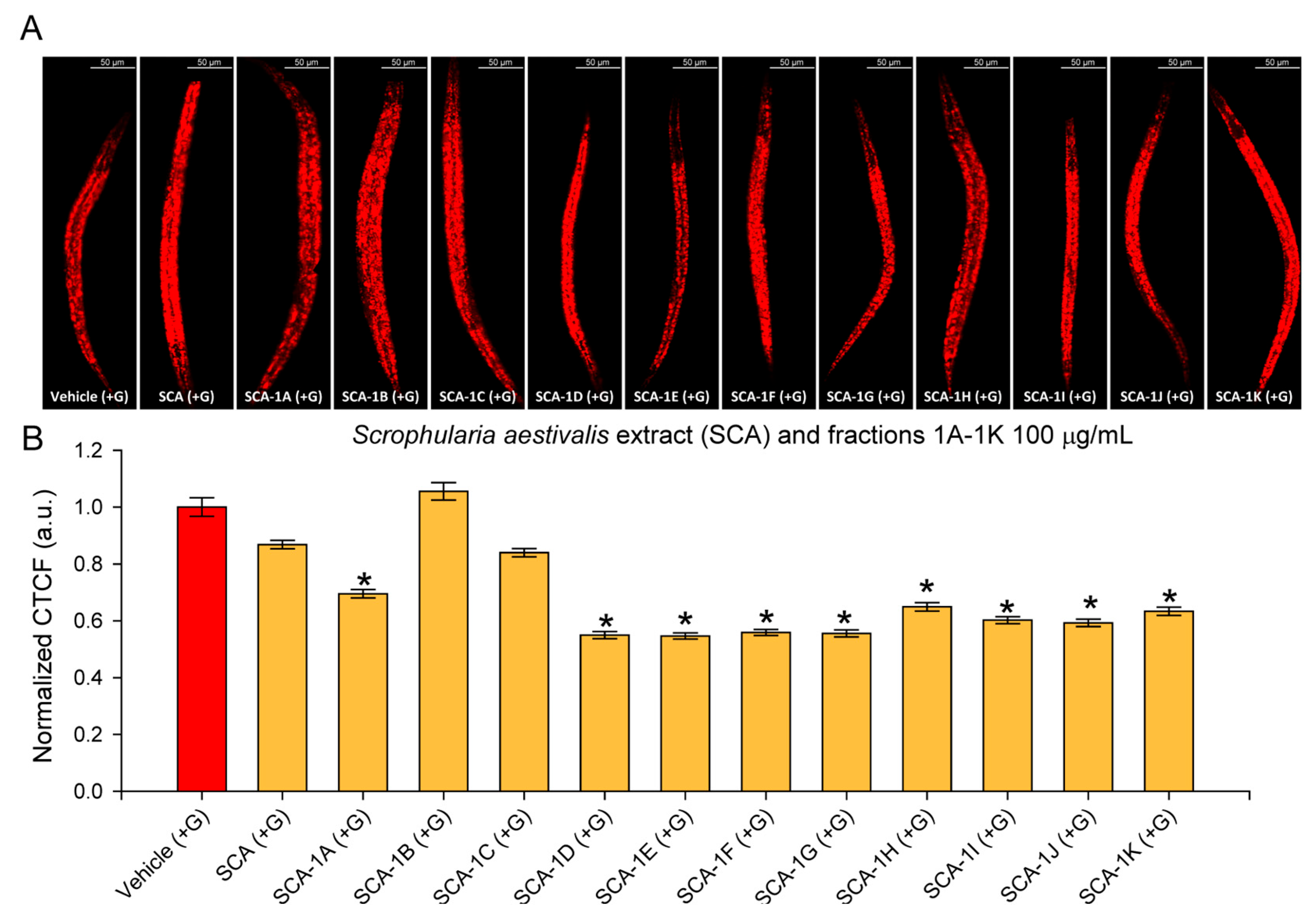 Molecules 30 04202 g003 Molecules 30 04202 g003