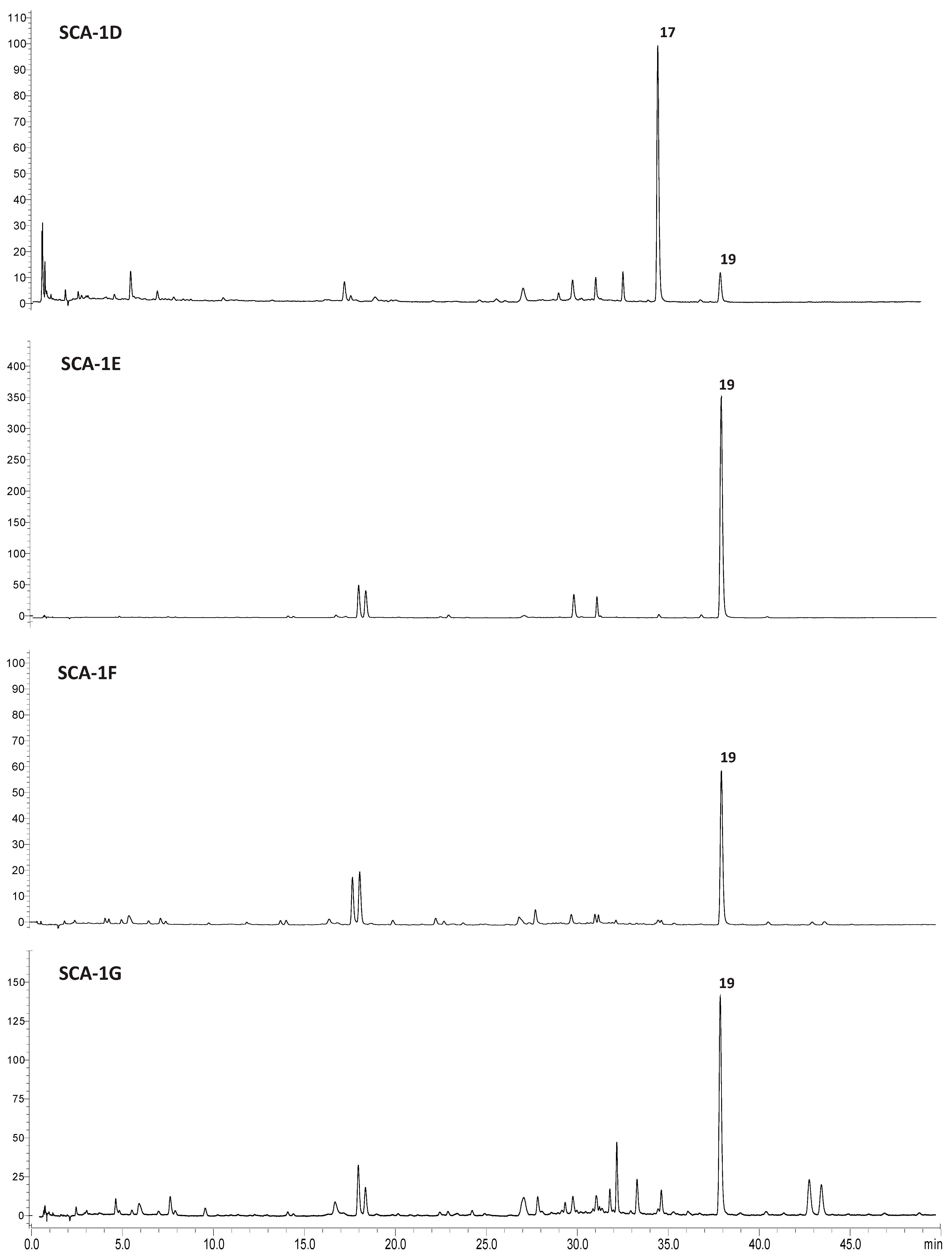Molecules 30 04202 g005 Molecules 30 04202 g005
