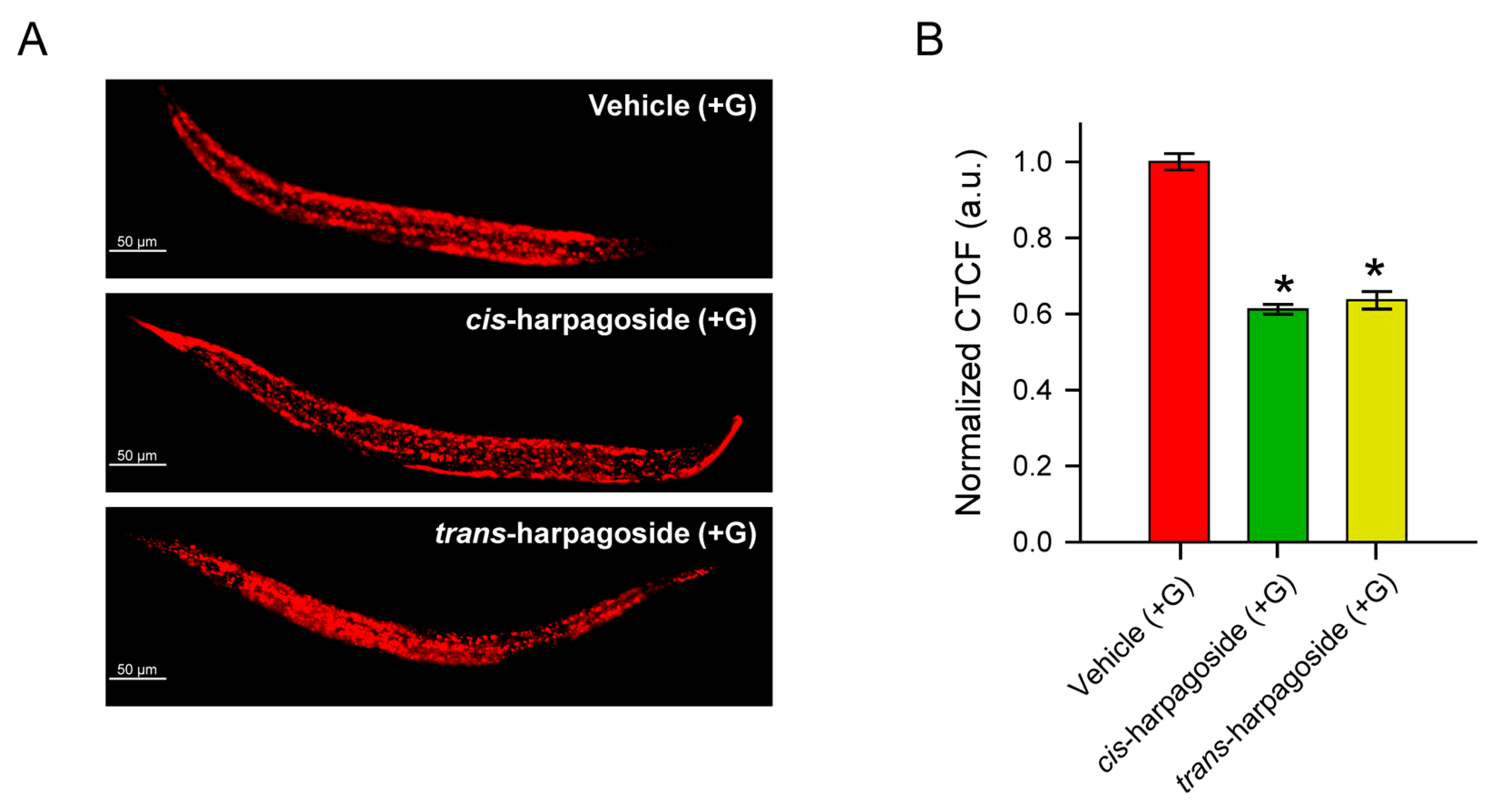 Molecules 30 04202 g006 Molecules 30 04202 g006