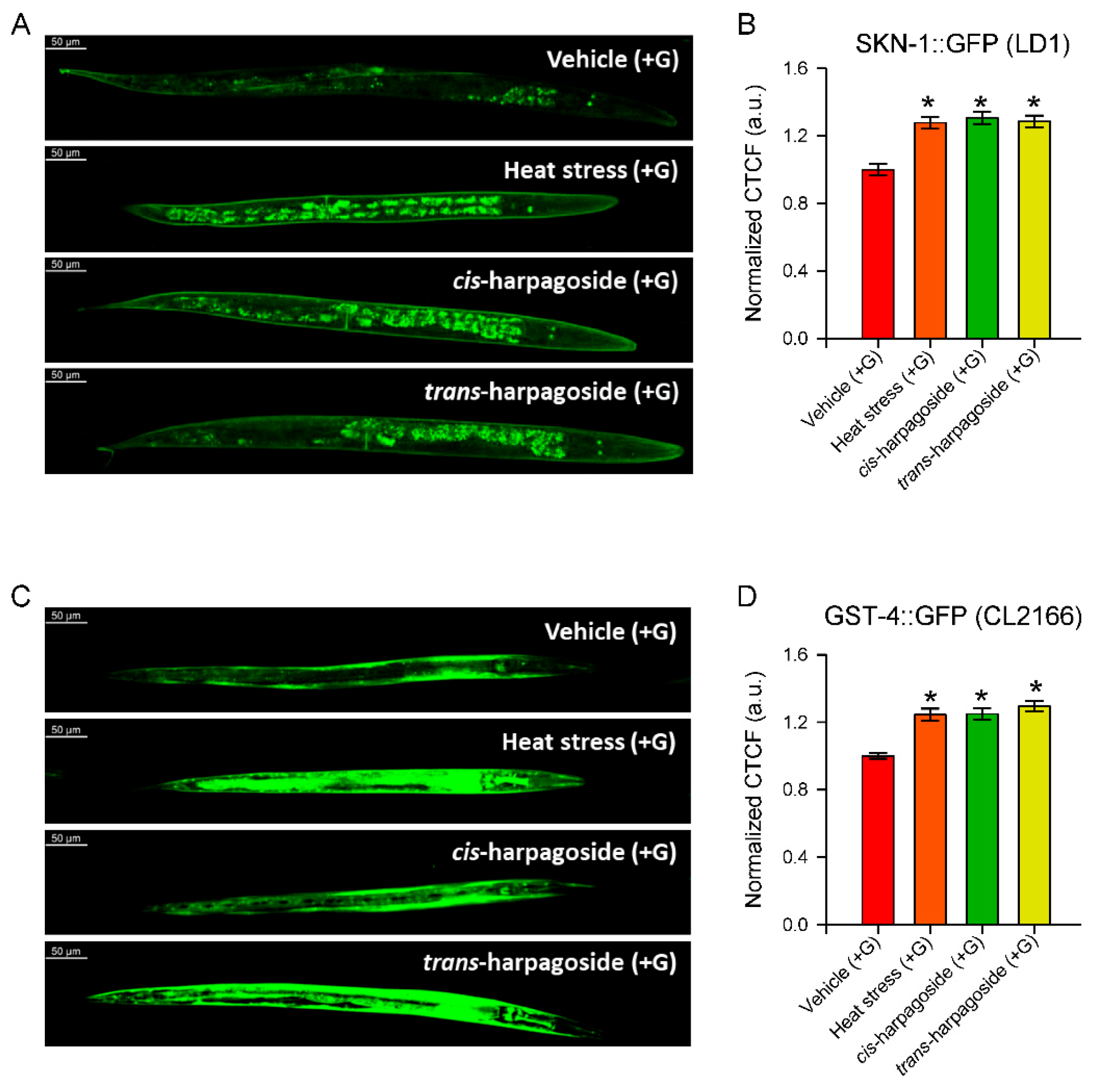 Molecules 30 04202 g008 Molecules 30 04202 g008