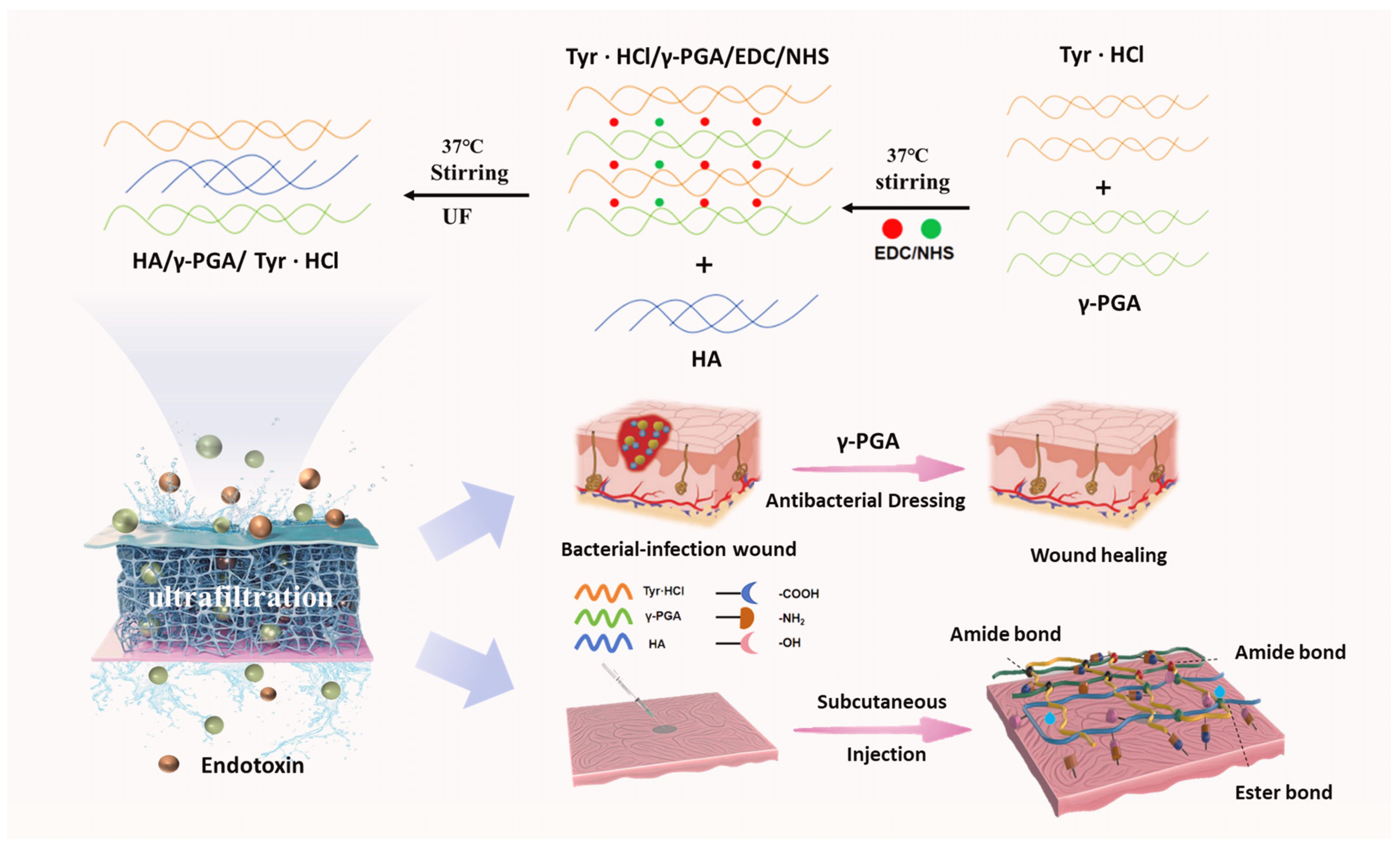 Molecules 30 04205 g001