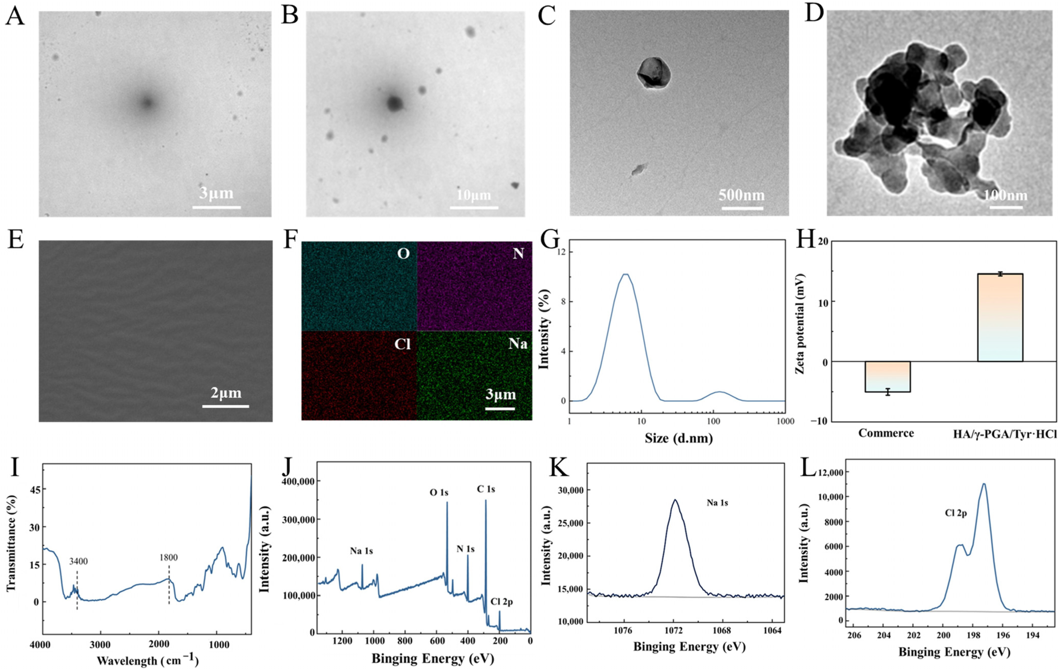 Molecules 30 04205 g002