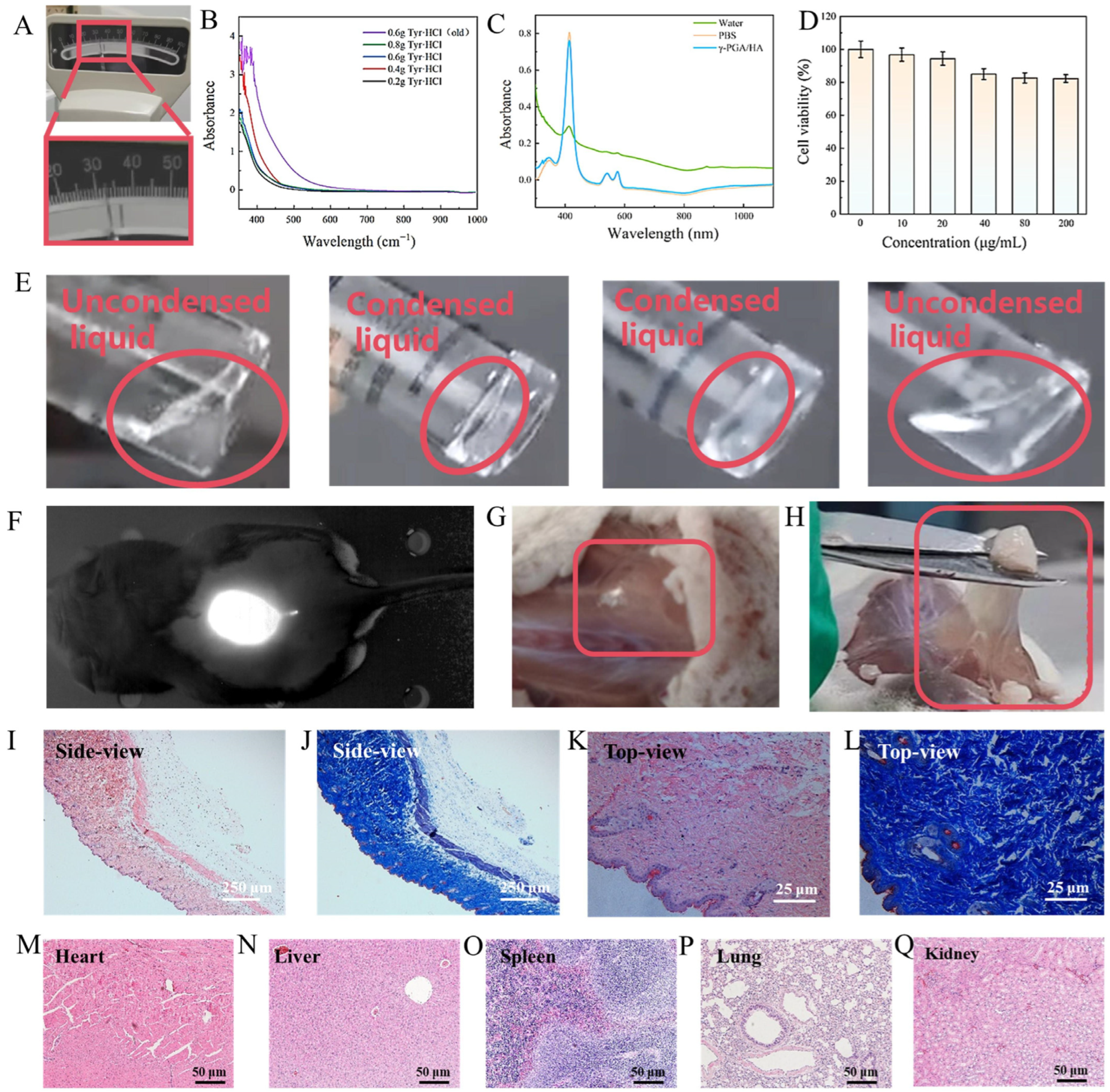 Molecules 30 04205 g003